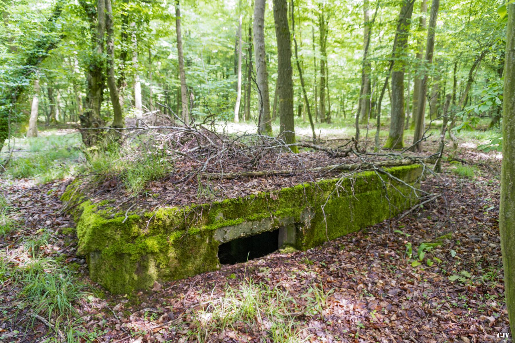 Ligne Maginot - TAUBRUNNENWALD 5 - (Blockhaus pour arme infanterie) - 