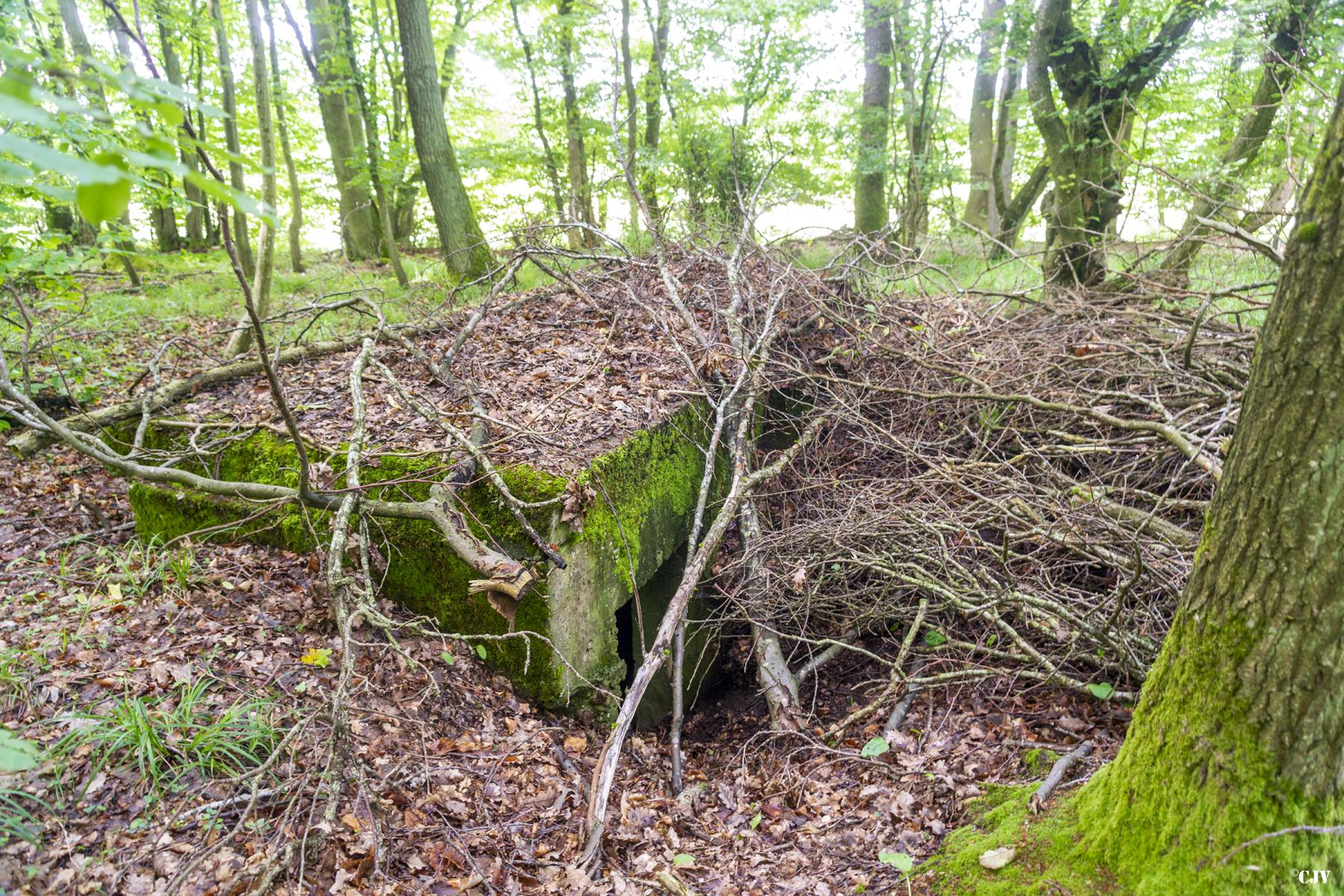 Ligne Maginot - TAUBRUNNENWALD 5 - (Blockhaus pour arme infanterie) - 