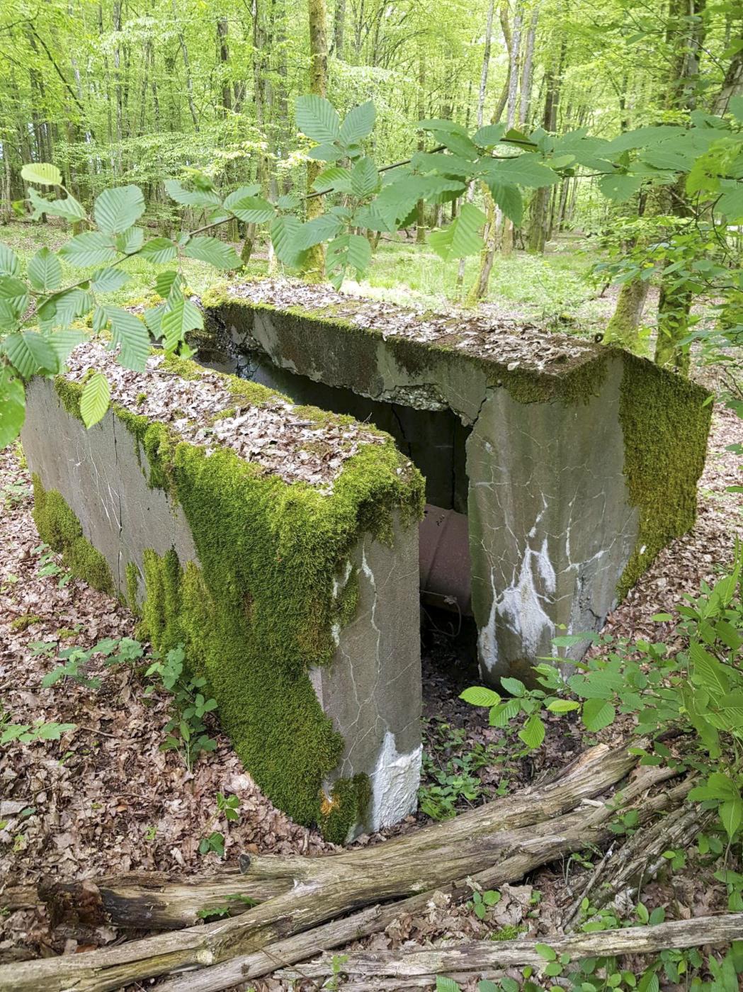 Ligne Maginot - M1B - TAUBRUNNENWALD (Blockhaus pour arme infanterie) -  - Paul HARY