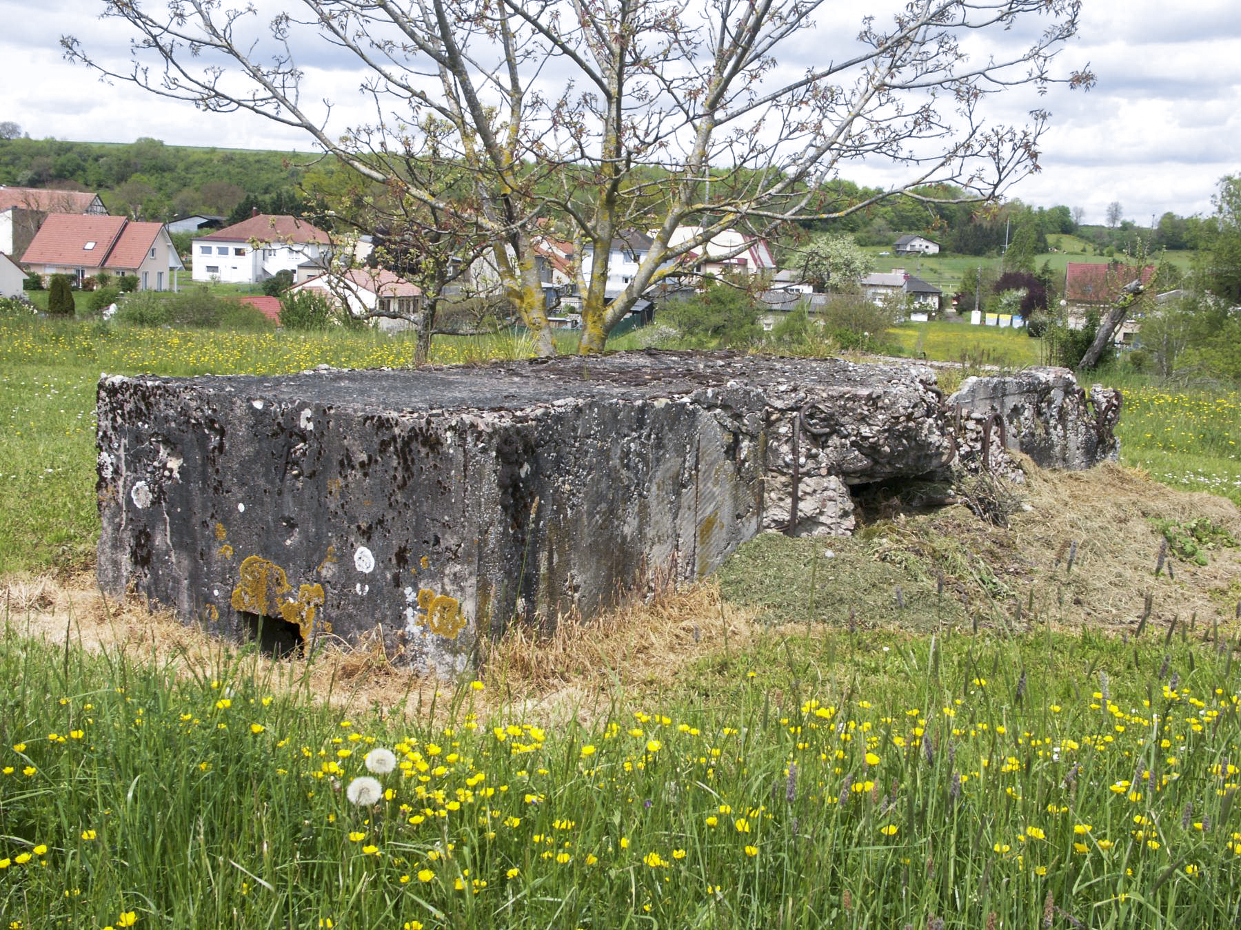 Ligne Maginot - MESS - (Blockhaus pour arme infanterie) -  - Paul HARY
