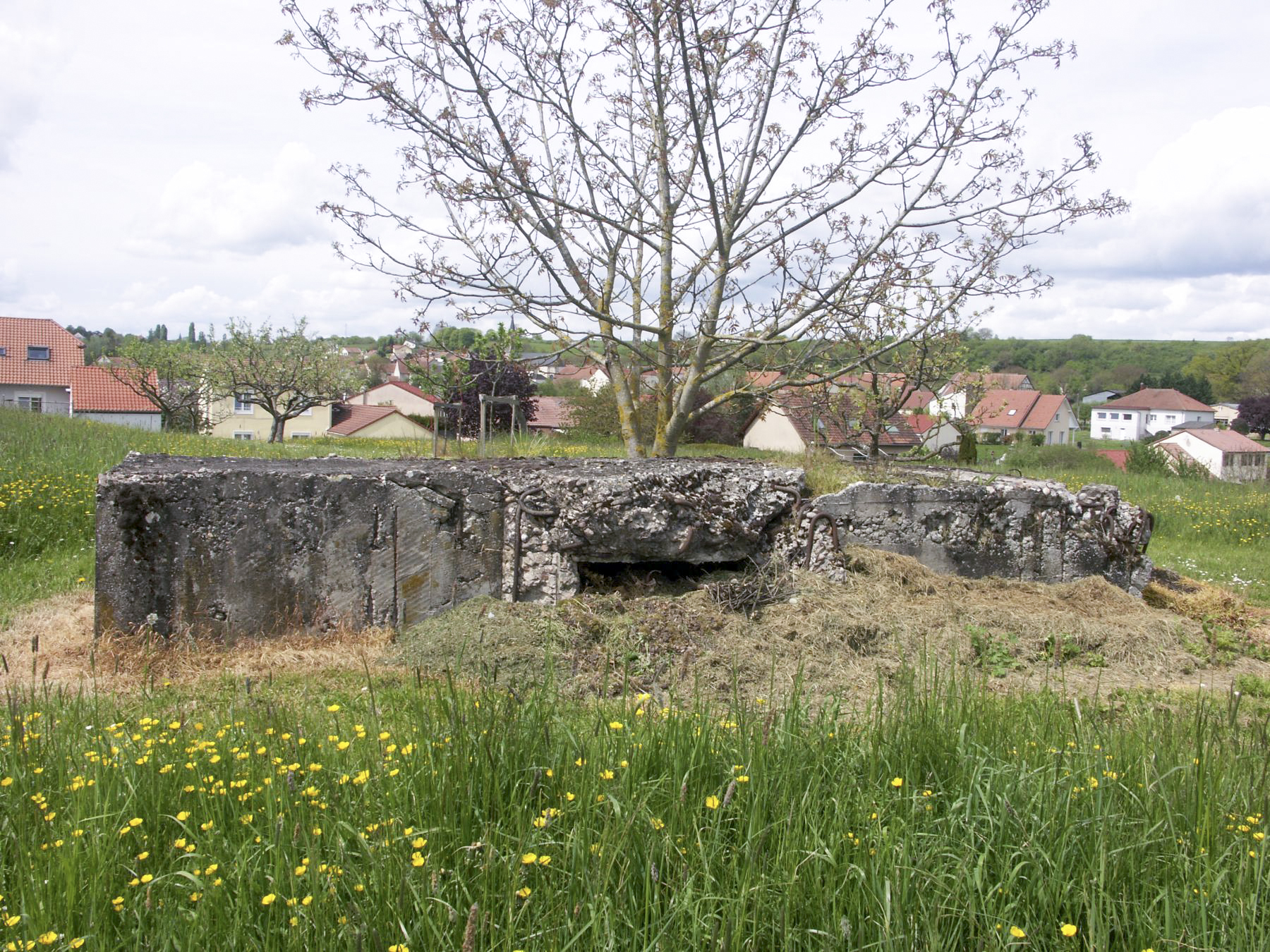 Ligne Maginot - MESS - (Blockhaus pour arme infanterie) -  - Paul HARY