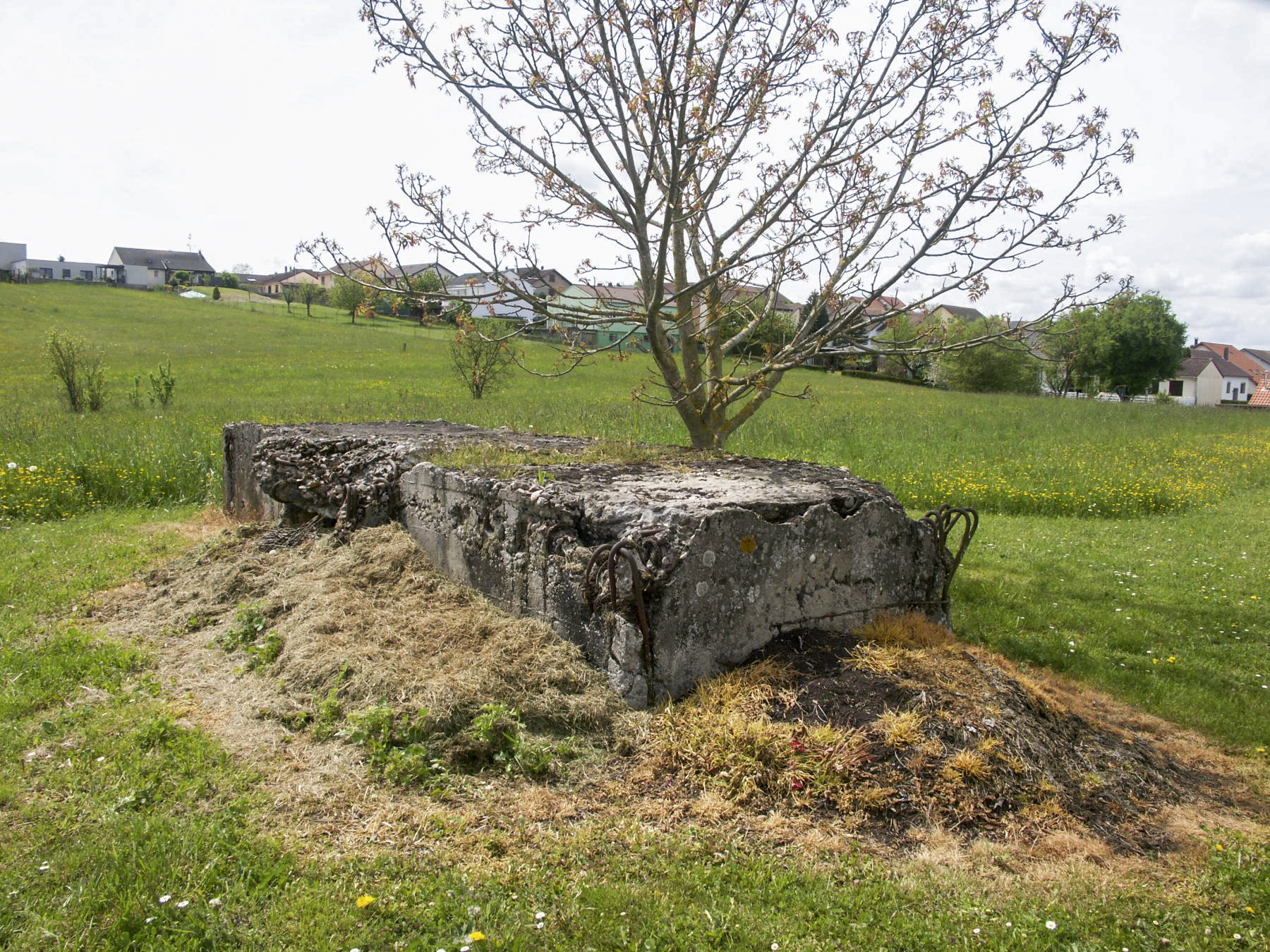Ligne Maginot - MESS - (Blockhaus pour arme infanterie) -  - Paul HARY