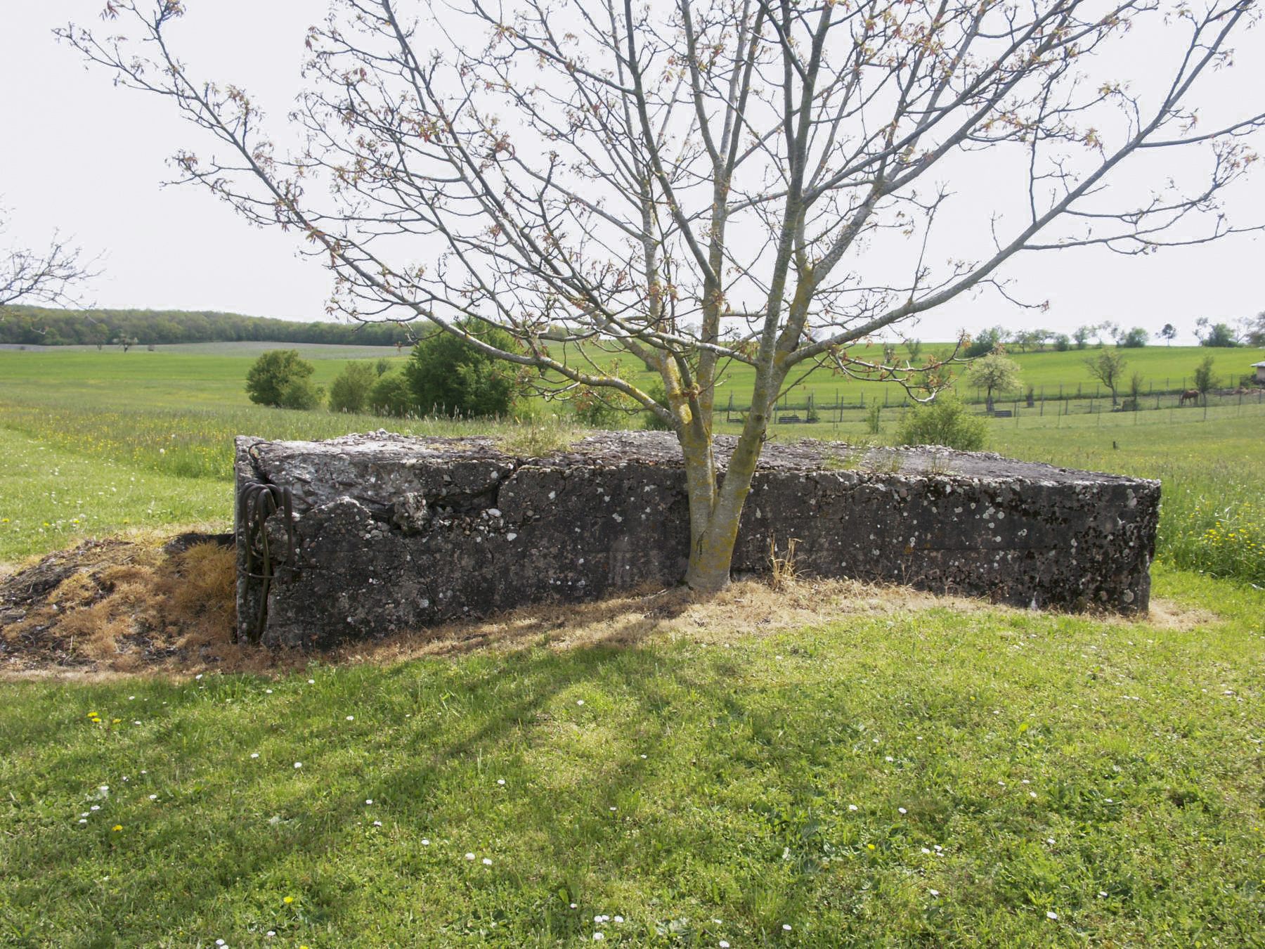 Ligne Maginot - MESS - (Blockhaus pour arme infanterie) -  - Paul HARY