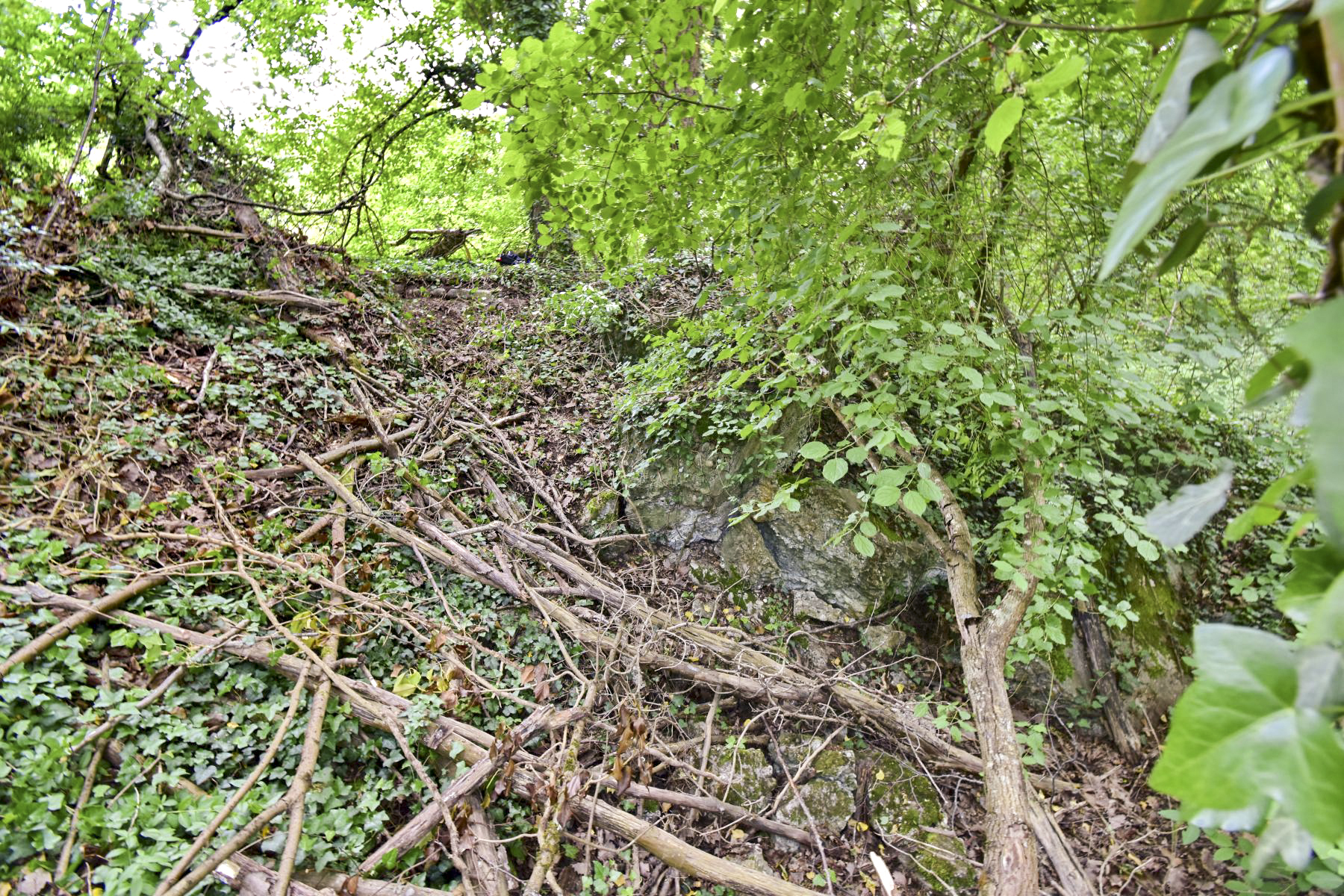 Ligne Maginot - BATTENHEIM ECLUSE 44 NORD - (Cuve pour arme d'infanterie) - Coupole et son abri - Daniel Froehly
