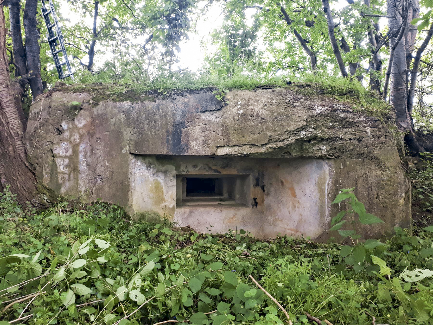 Ligne Maginot - GROSSMATTEN - (Blockhaus pour arme infanterie) - Créneau mitrailleuse de droite - Gregory Fuchs