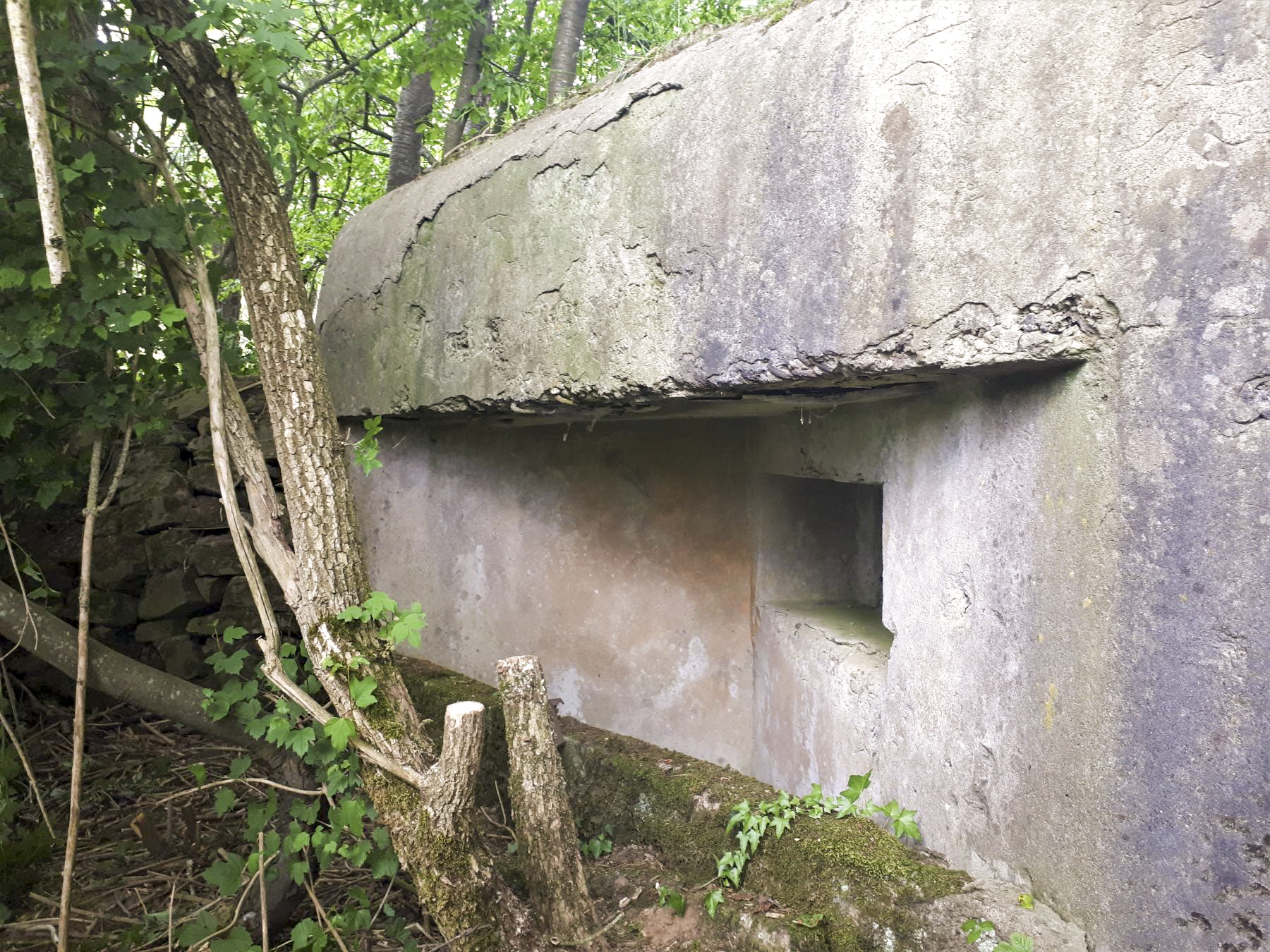 Ligne Maginot - GROSSMATTEN - (Blockhaus pour arme infanterie) - Créneau mitrailleuse de gauche - Gregory Fuchs