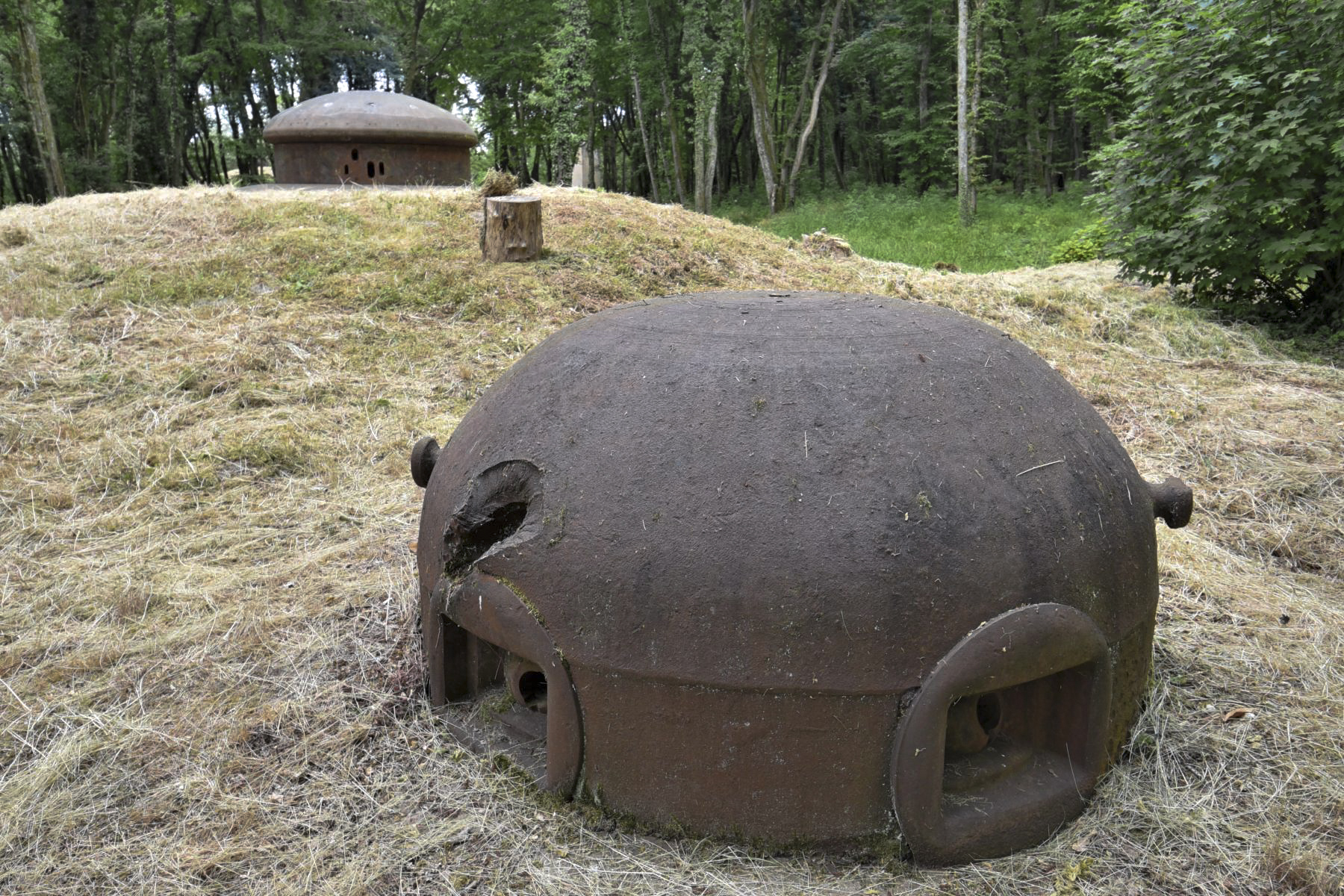 Ligne Maginot - TETING - A38 - (Ouvrage d'infanterie) - Bloc 2 - Ludovic KNAPP