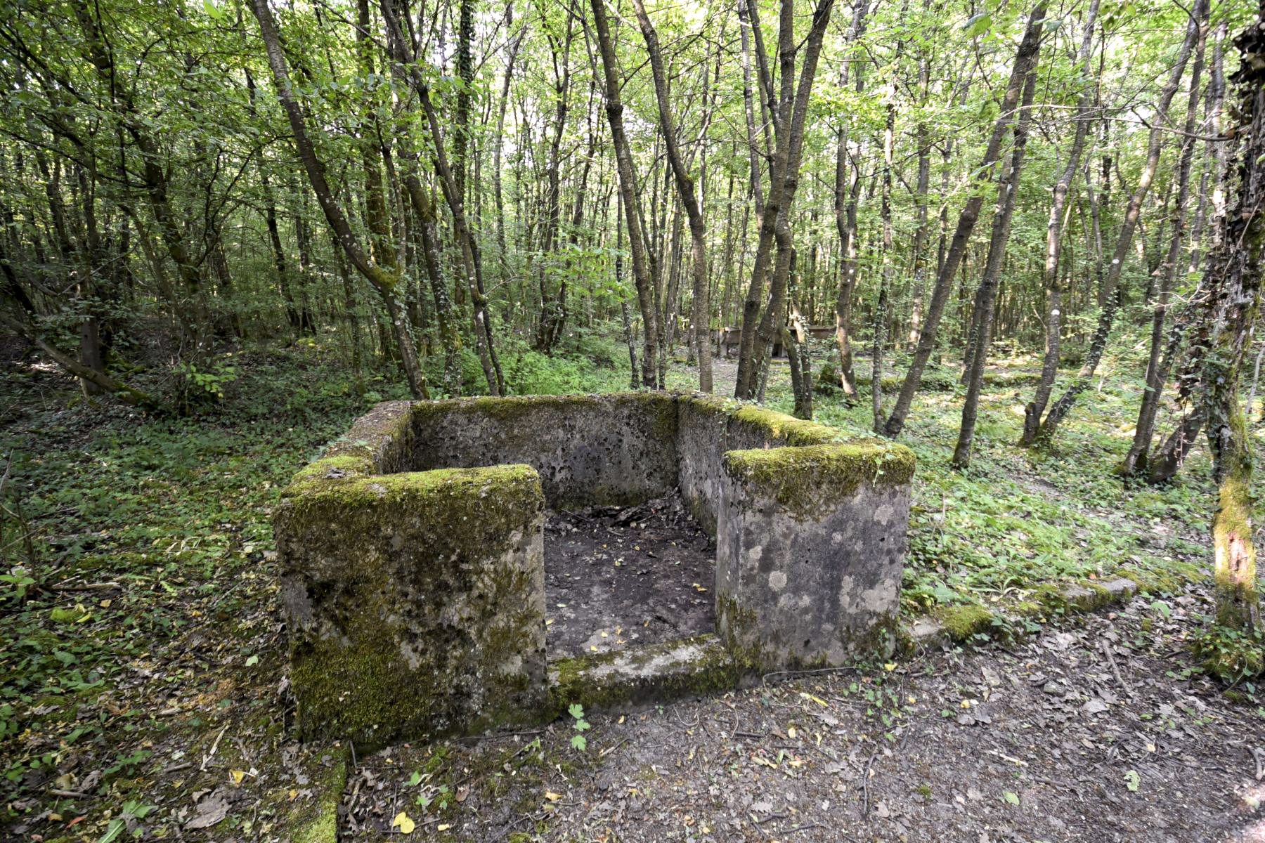 Ligne Maginot - BAMBESCH - (Casernement) -  - Ludovic KNAPP