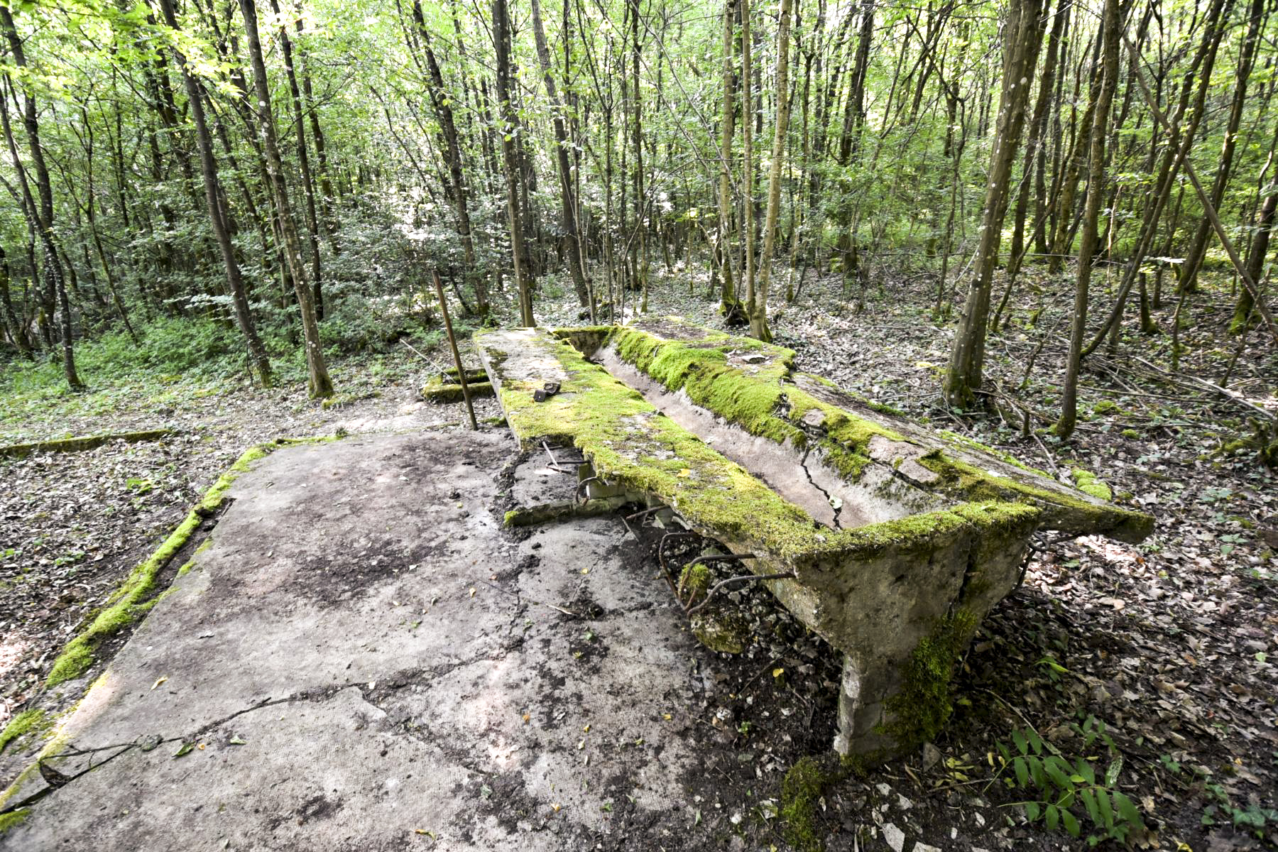 Ligne Maginot - BAMBESCH - (Casernement) -  - Ludovic KNAPP