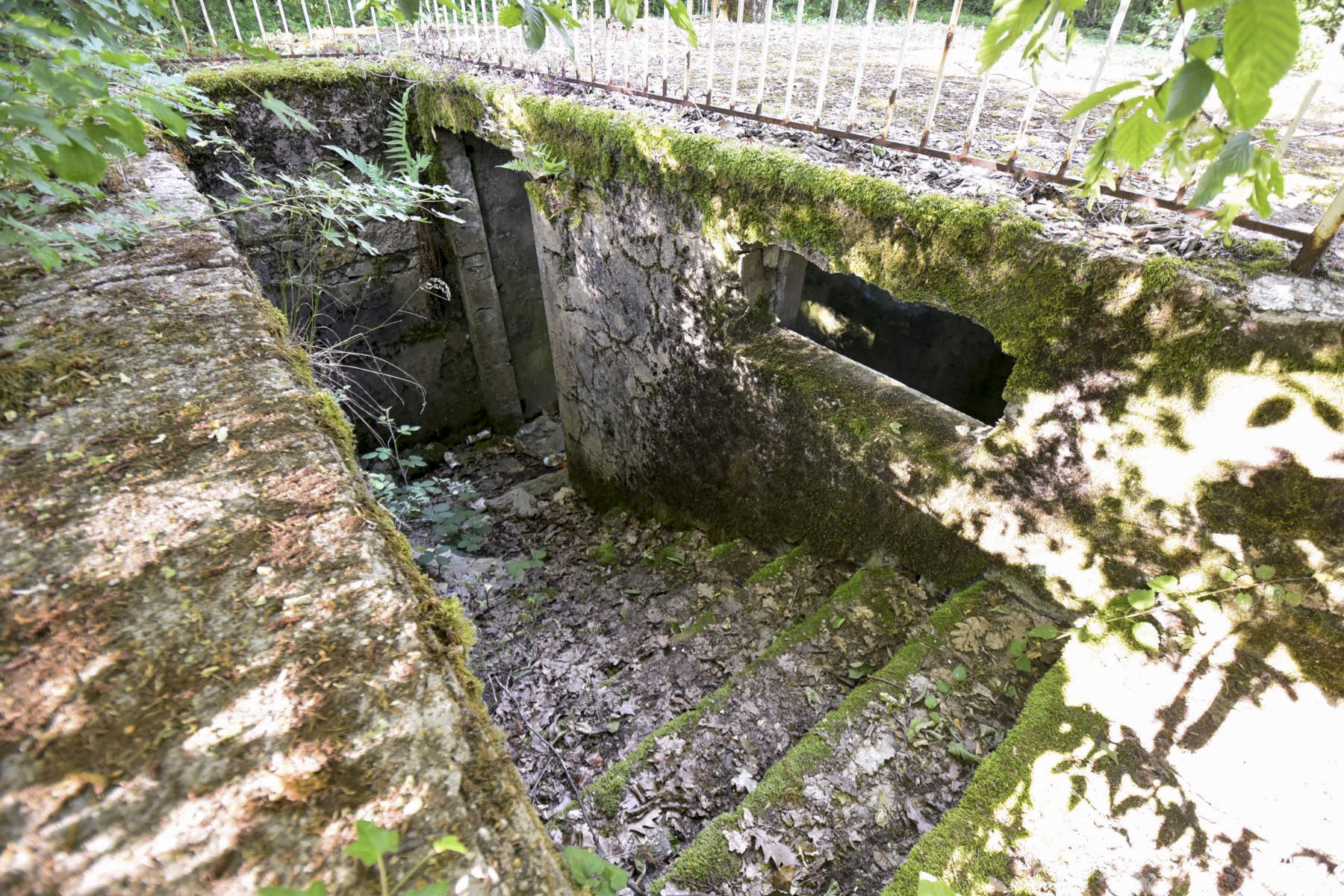 Ligne Maginot - BAMBESCH - (Casernement) -  - Ludovic KNAPP