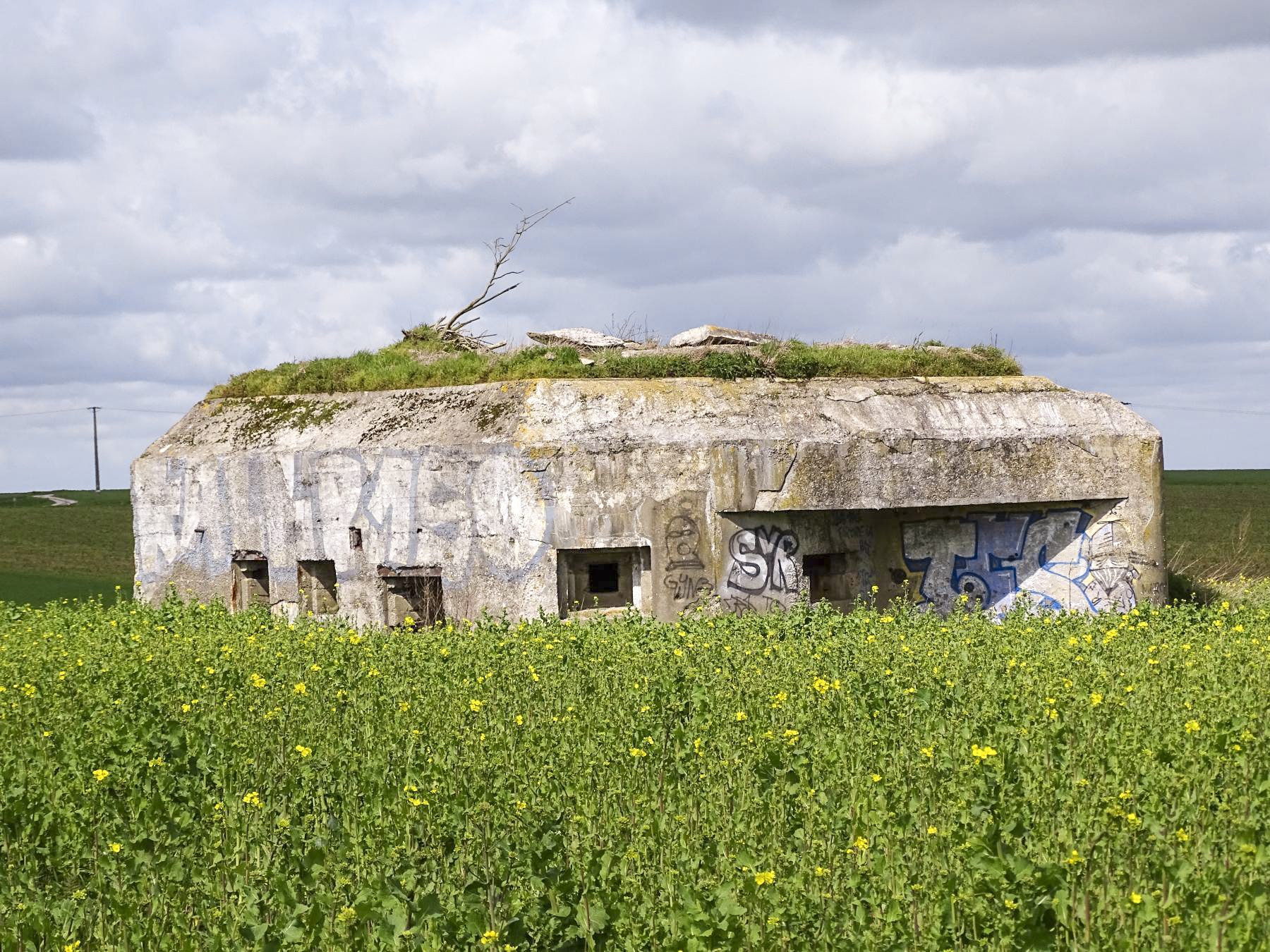 Ligne Maginot - B172 - PURGATOIRE - (Blockhaus pour canon) -  - Julien Boulanger