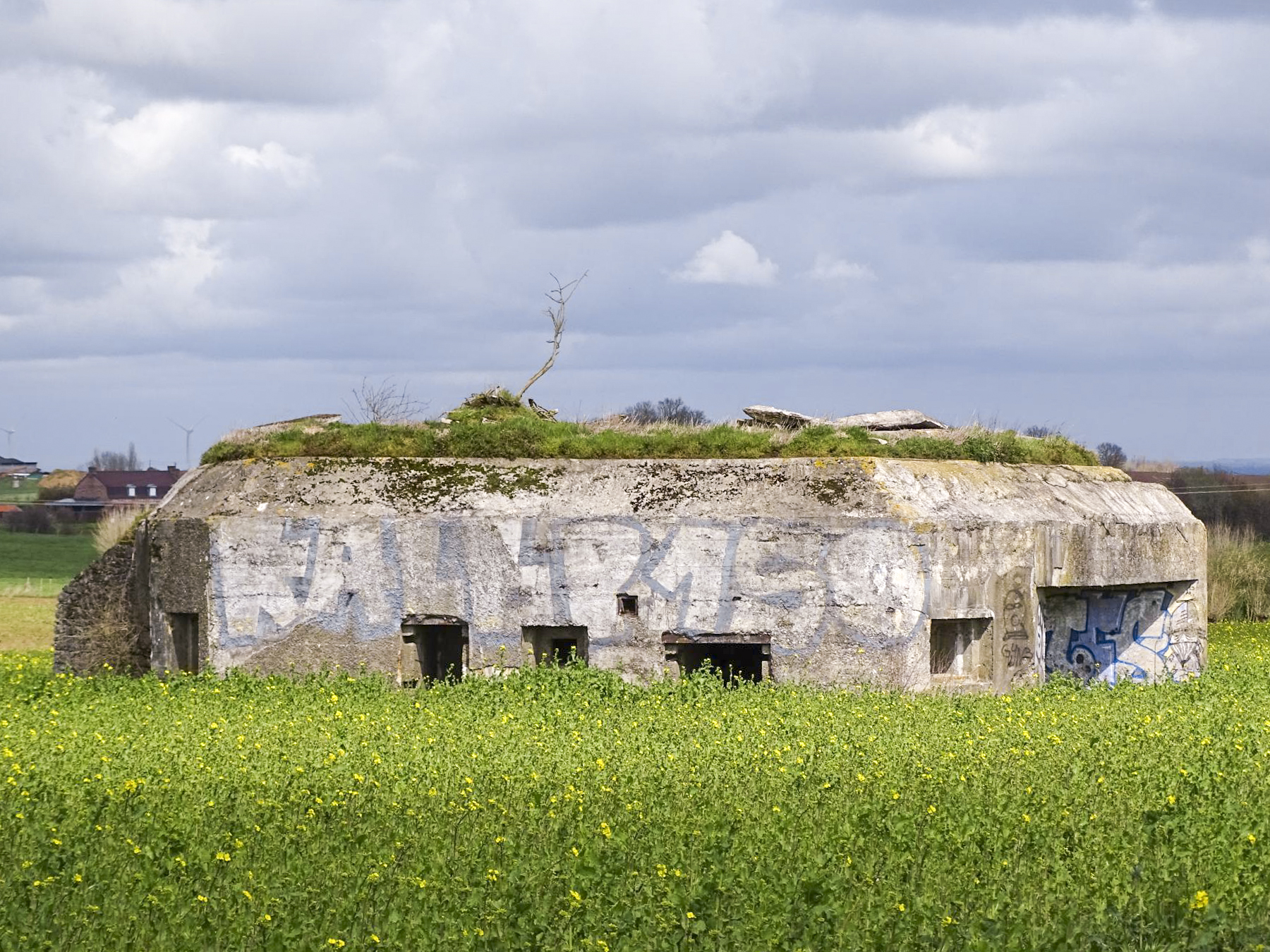 Ligne Maginot - B172 - PURGATOIRE - (Blockhaus pour canon) -  - Julien Boulanger