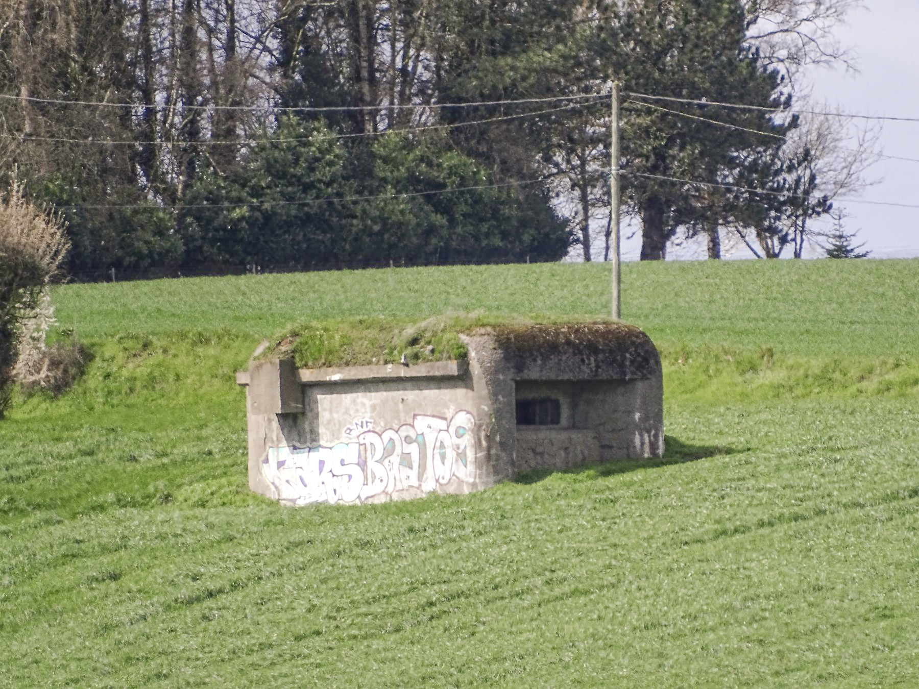 Ligne Maginot - B169 - MONT KOKEREEL - (Blockhaus pour canon) -  - Julien Boulanger