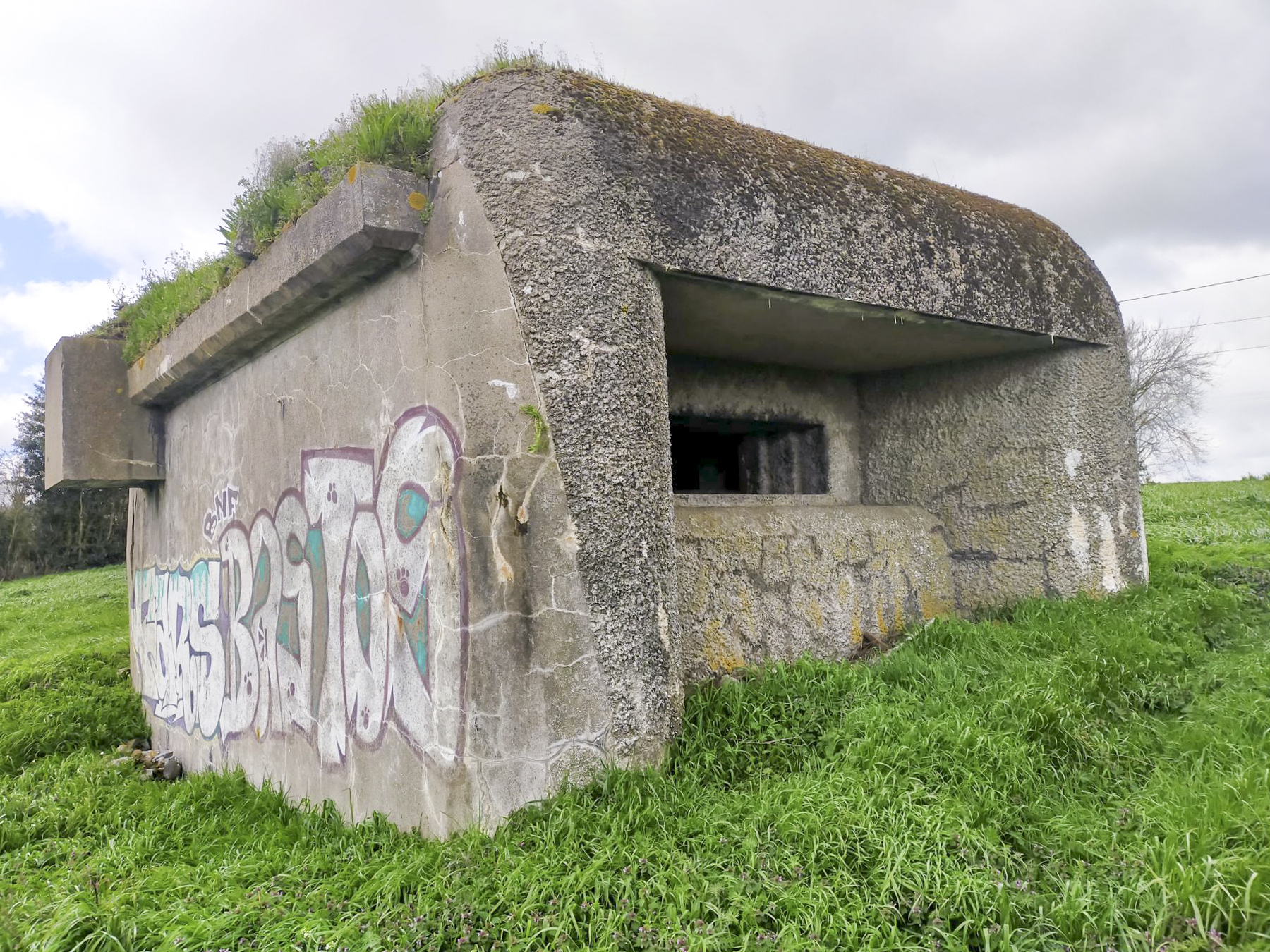 Ligne Maginot - B169 - MONT KOKEREEL - (Blockhaus pour canon) -  - Julien Boulanger