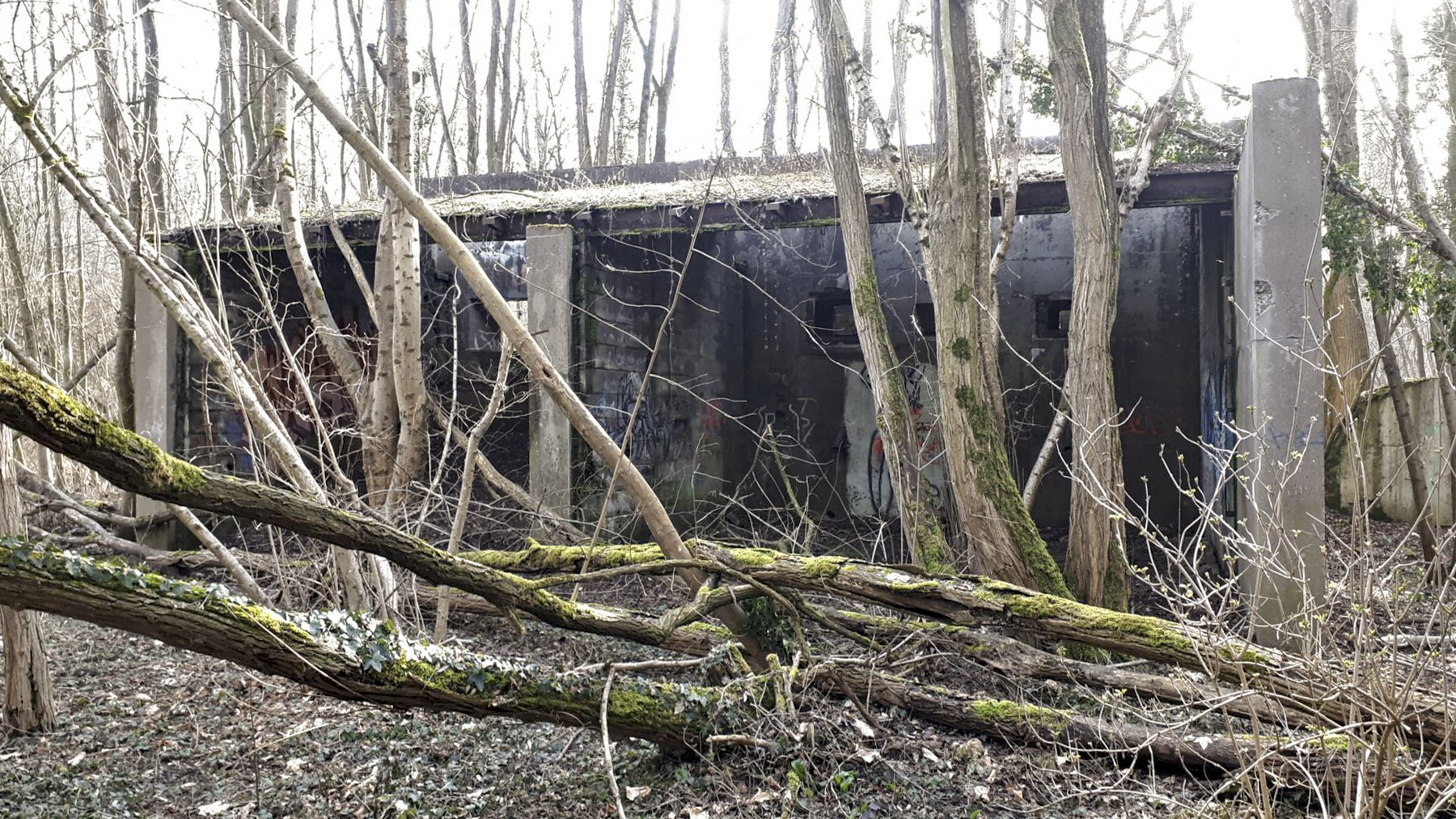 Ligne Maginot - SUNDHOUSE - (Stand de tir) - Vue sur les créneaux de la casemate d'exercice