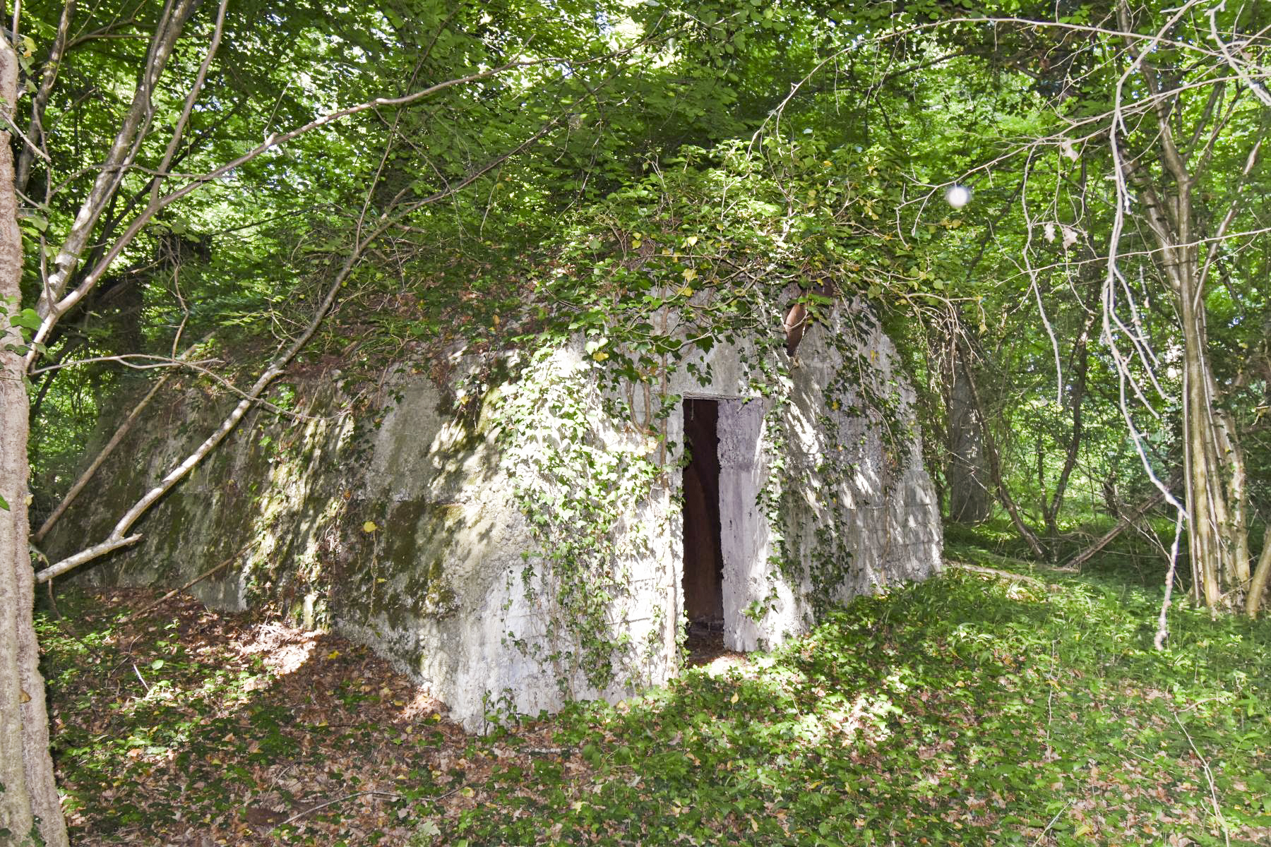 Ligne Maginot - SUNDHOUSE (I/42° RIF PUIS I/242° RI) - (PC de Quartier) - Façade sud de l'abri - Daniel Froehly