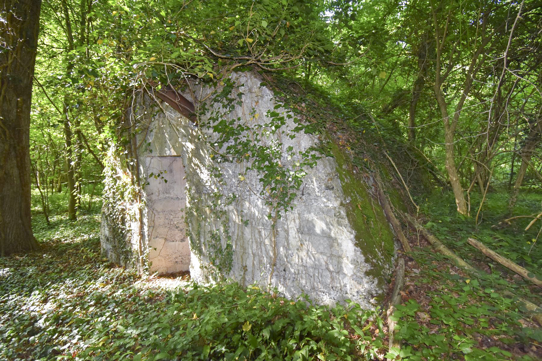 Ligne Maginot - SUNDHOUSE (I/42° RIF PUIS I/242° RI) - (PC de Quartier) - Façade sud de l'abri - Daniel Froehly
