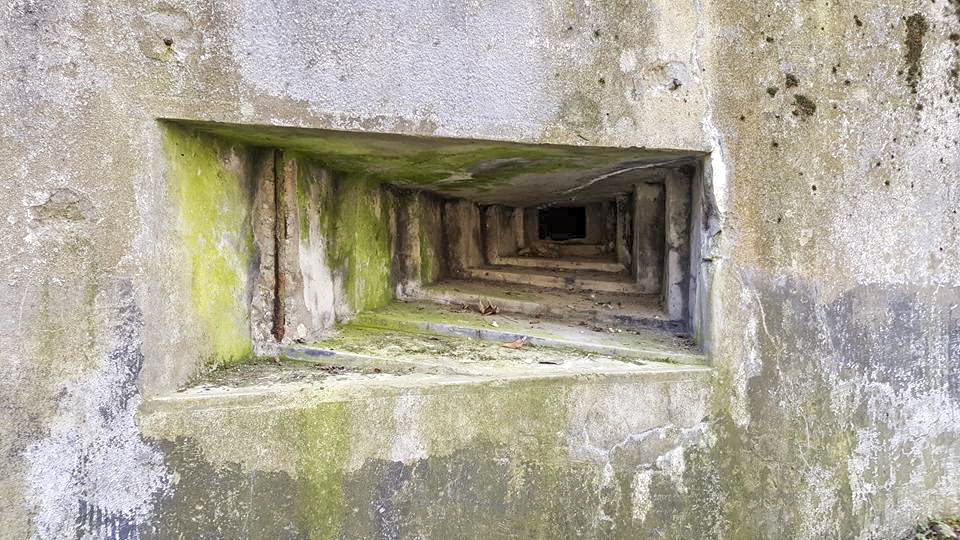 Ligne Maginot - 84 - CHEMIN CREUX - (Casemate d'infanterie - Double) - Créneau FM nord-est - Manuel KLENCK