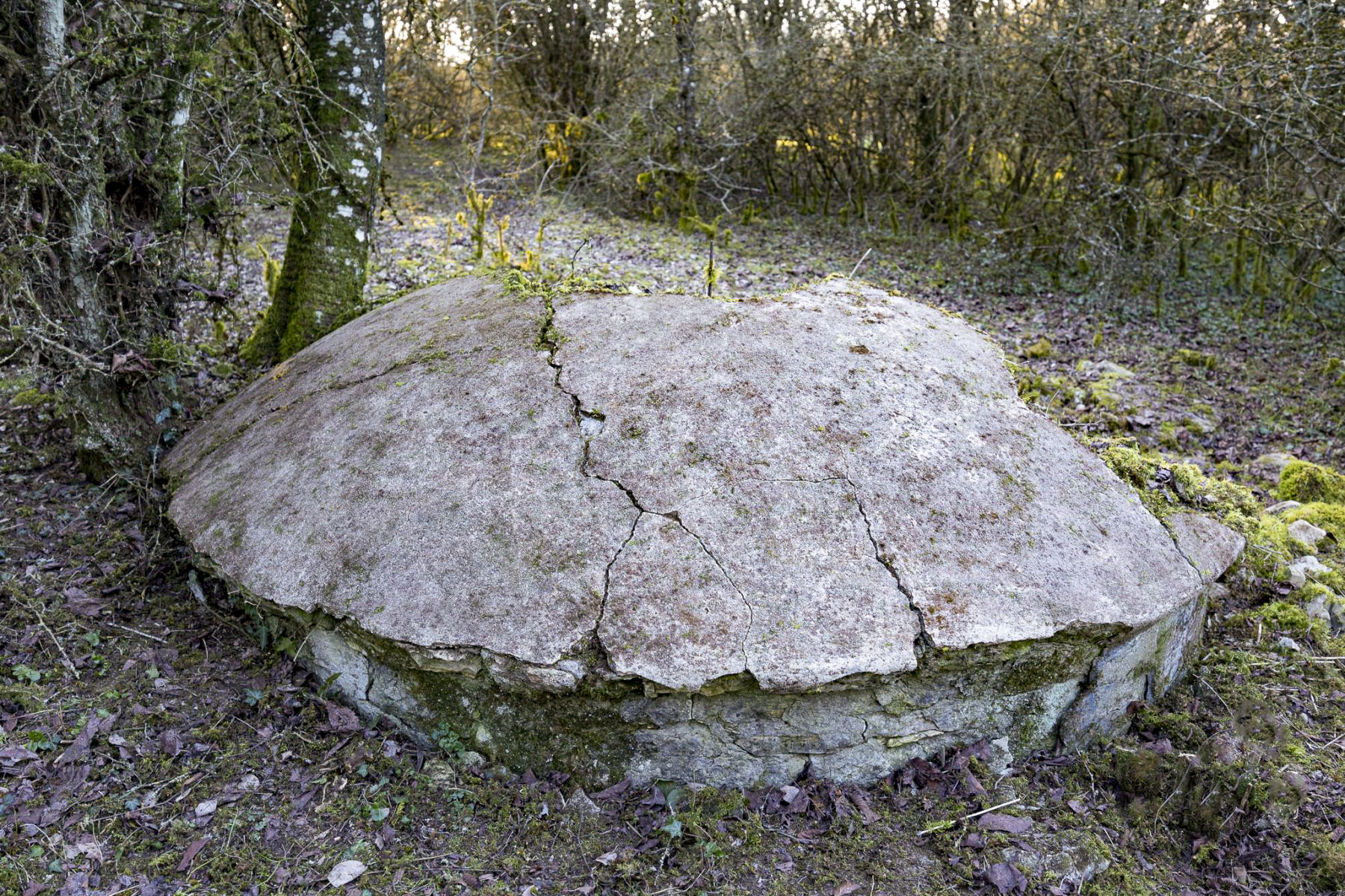 Ligne Maginot - WELSCHHOF - (Ouvrage d'infanterie) - Fausse tourelle  - Lenhard Christian