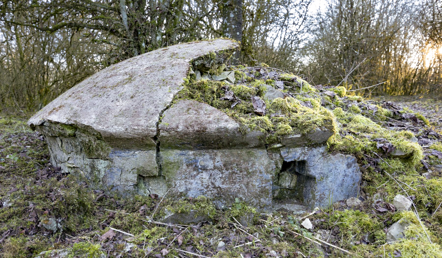 Ligne Maginot - WELSCHHOF - (Ouvrage d'infanterie) - Fausse tourelle  - Lenhard Christian