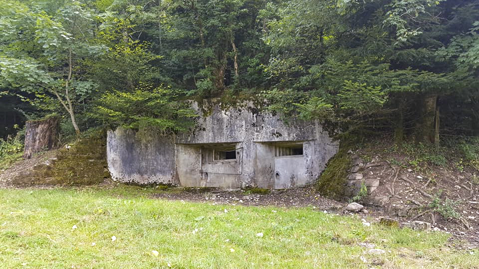 Ligne Maginot - 47 - SOULCE-CERNAY - (Blockhaus pour canon) -   