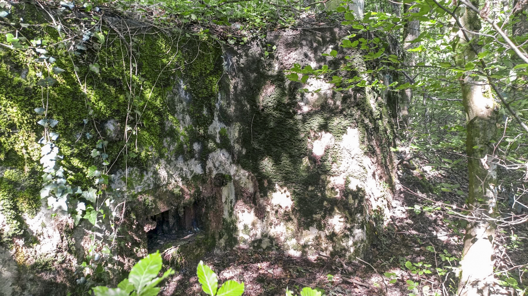 Ligne Maginot - CB276 - DALEM OUEST - (Blockhaus pour arme infanterie) - Autre vue du créneau de tir  - Marc Fossoul