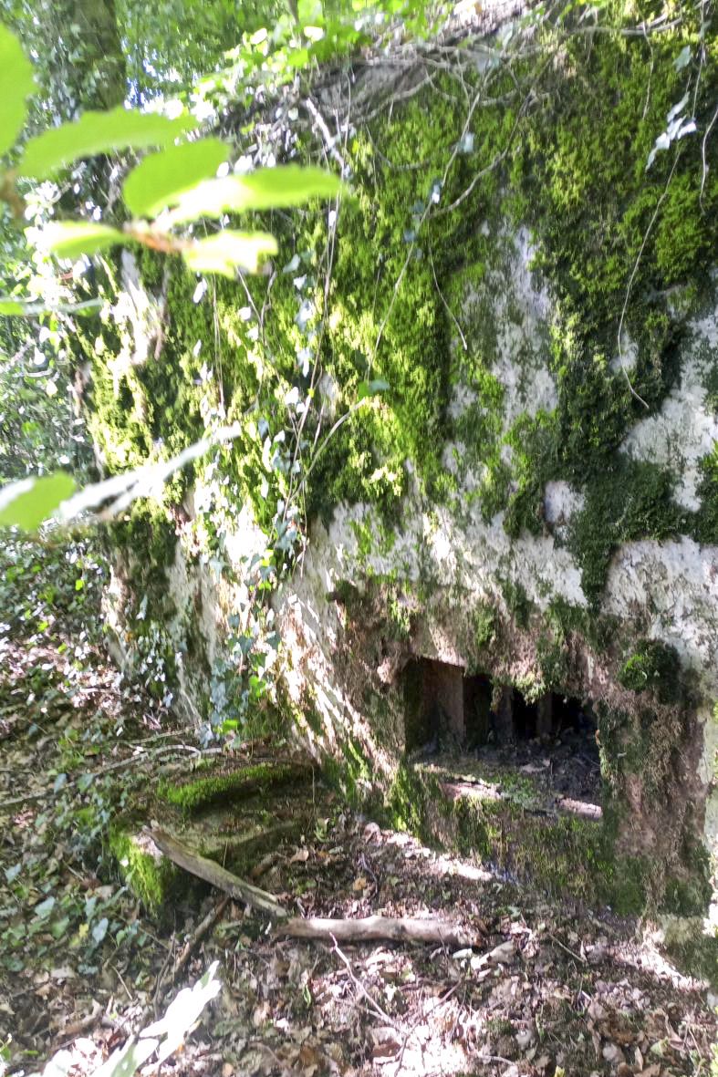 Ligne Maginot - CB276 - DALEM OUEST - (Blockhaus pour arme infanterie) - Vue du créneau de tir  - Marc Fossoul
