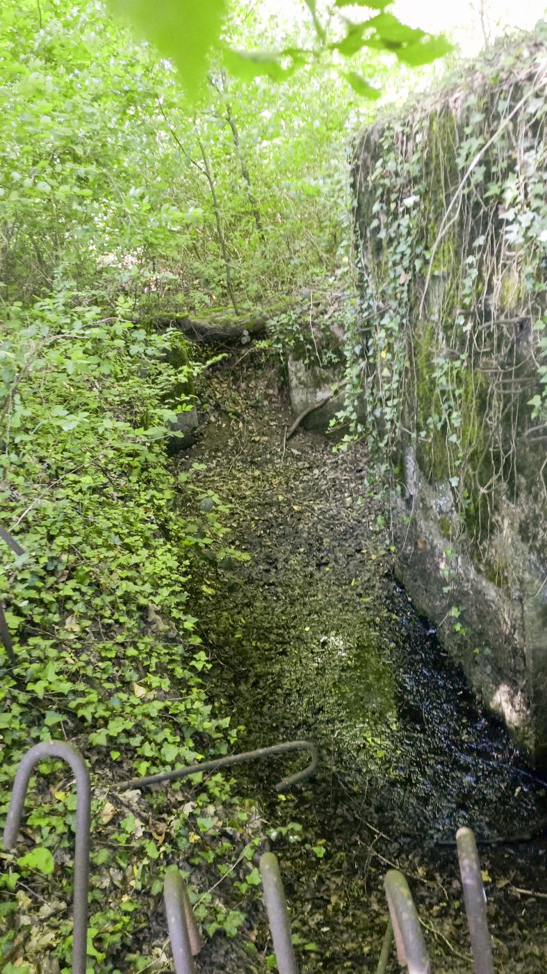 Ligne Maginot - CB276 - DALEM OUEST - (Blockhaus pour arme infanterie) - Côté droit
On voit l'arrivée de la tranchée de liaison avec Dalem Est.  - Marc Fossoul