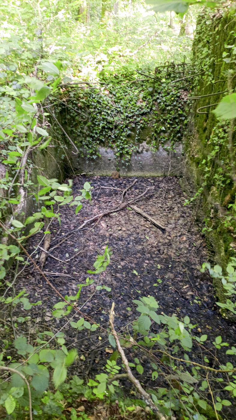 Ligne Maginot - CB276 - DALEM OUEST - (Blockhaus pour arme infanterie) - Face arrière de la casemate.
Les fers à béton pour la construction d'une toiture sont nettement visibles. - Marc Fossoul