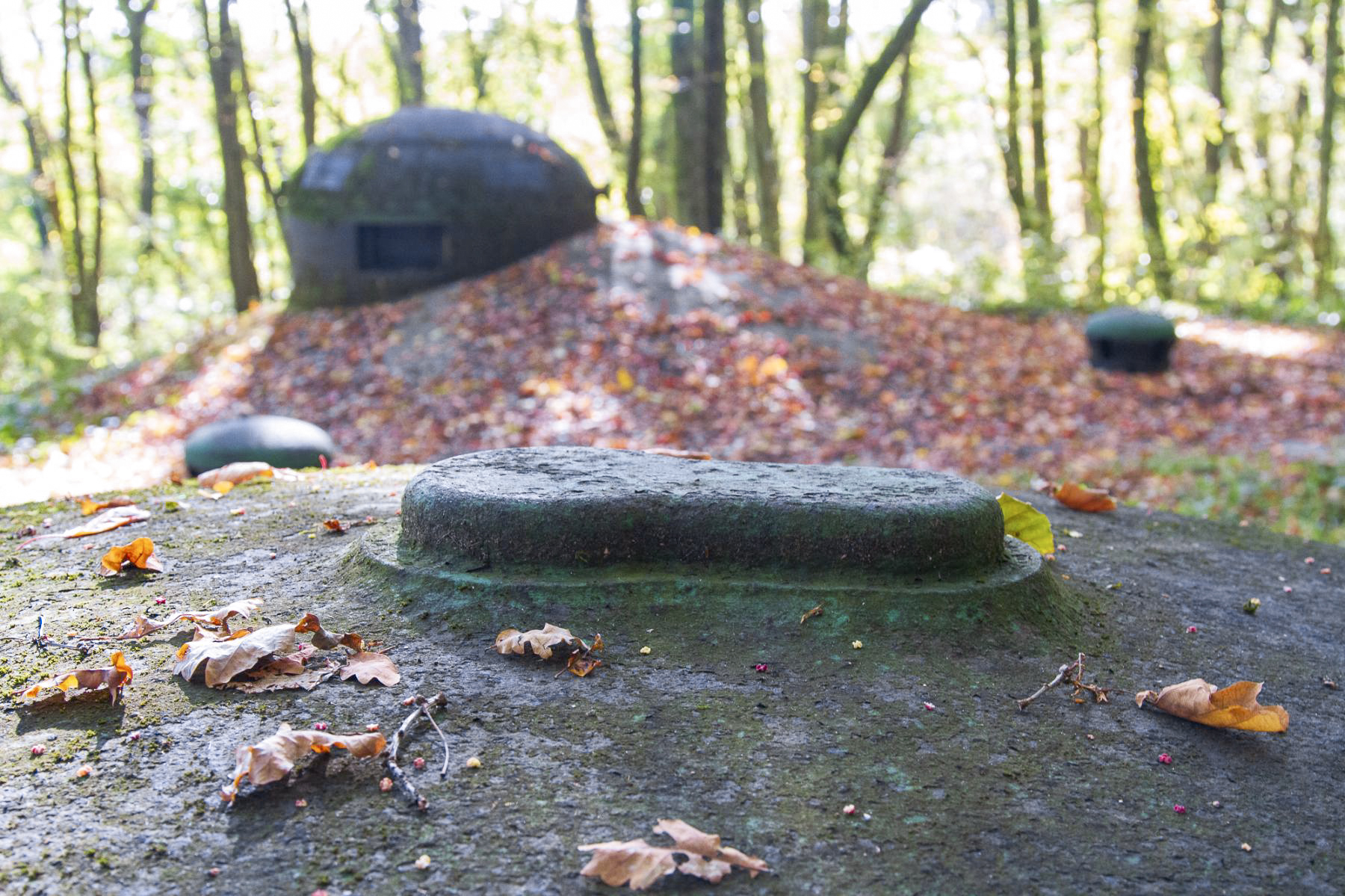 Ligne Maginot - BOUSSE - A24 - (Ouvrage d'infanterie) - Bloc 1
Cloche VDP
Volet obturateur de l'orifice du périscope - Michel Teiten