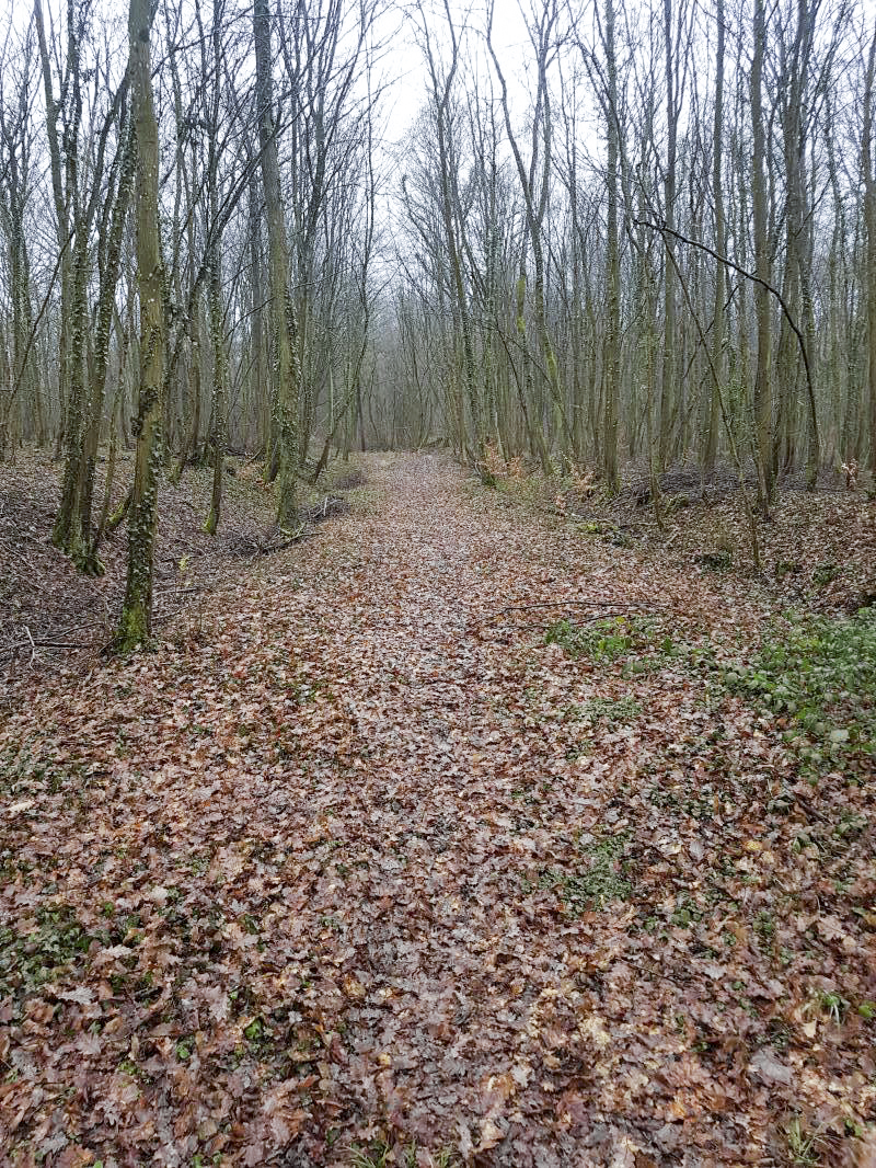 Ligne Maginot - RURANGE - (Depot du Génie) - Voie ferrée donnant vers le dépôt.