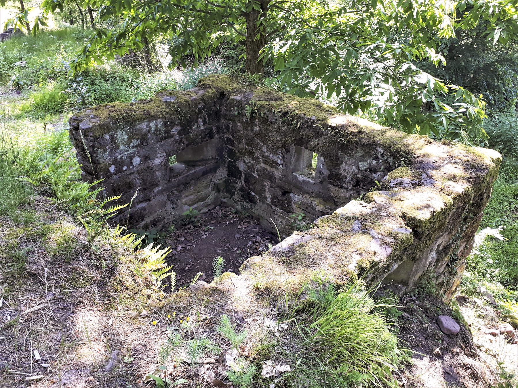 Ligne Maginot - CHATEAU NEUF 1 - (Blockhaus pour arme infanterie) -  - Gregory Fuchs