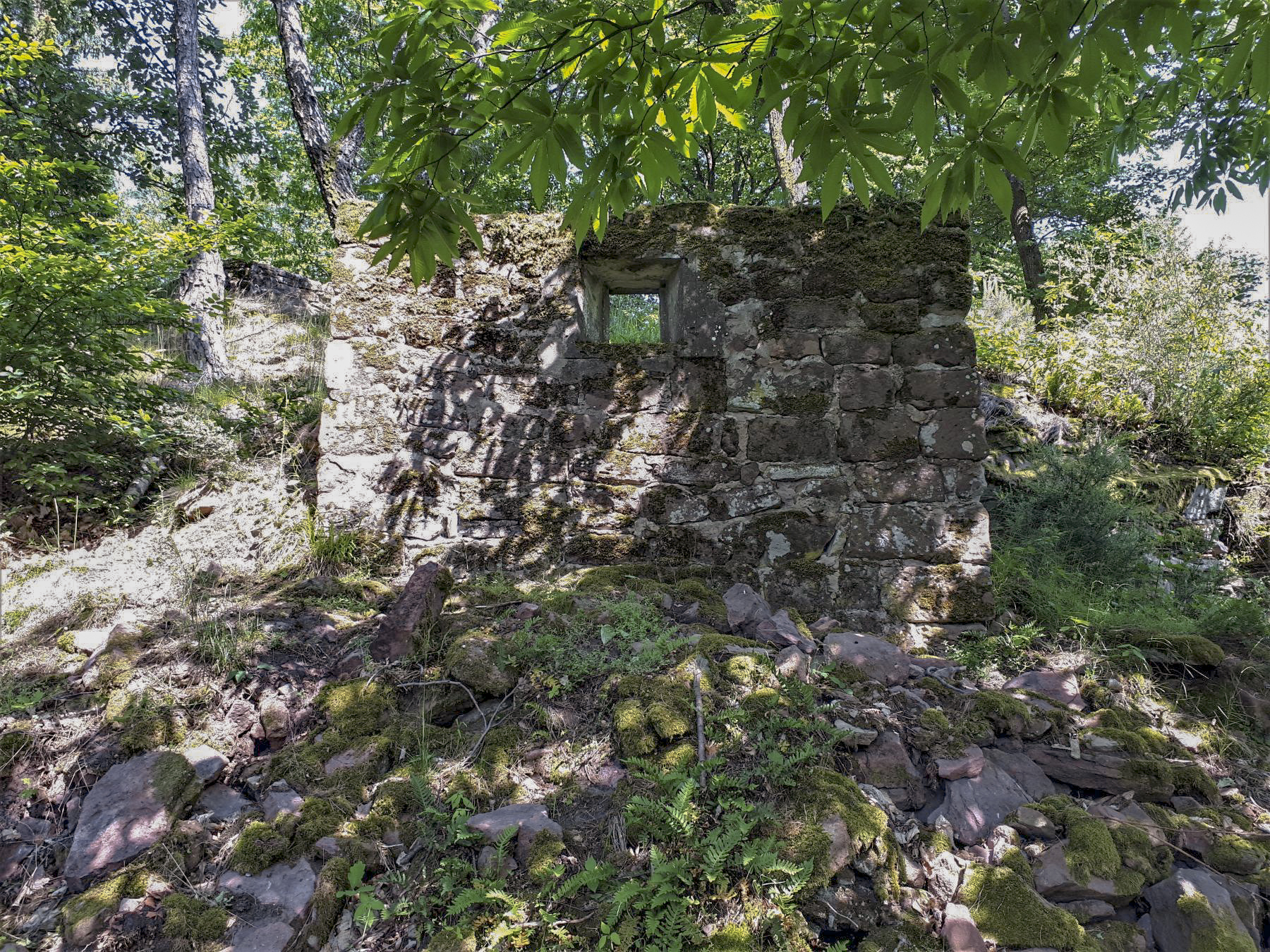 Ligne Maginot - CHATEAU NEUF 1 - (Blockhaus pour arme infanterie) - Créneau latéral - Gregory Fuchs