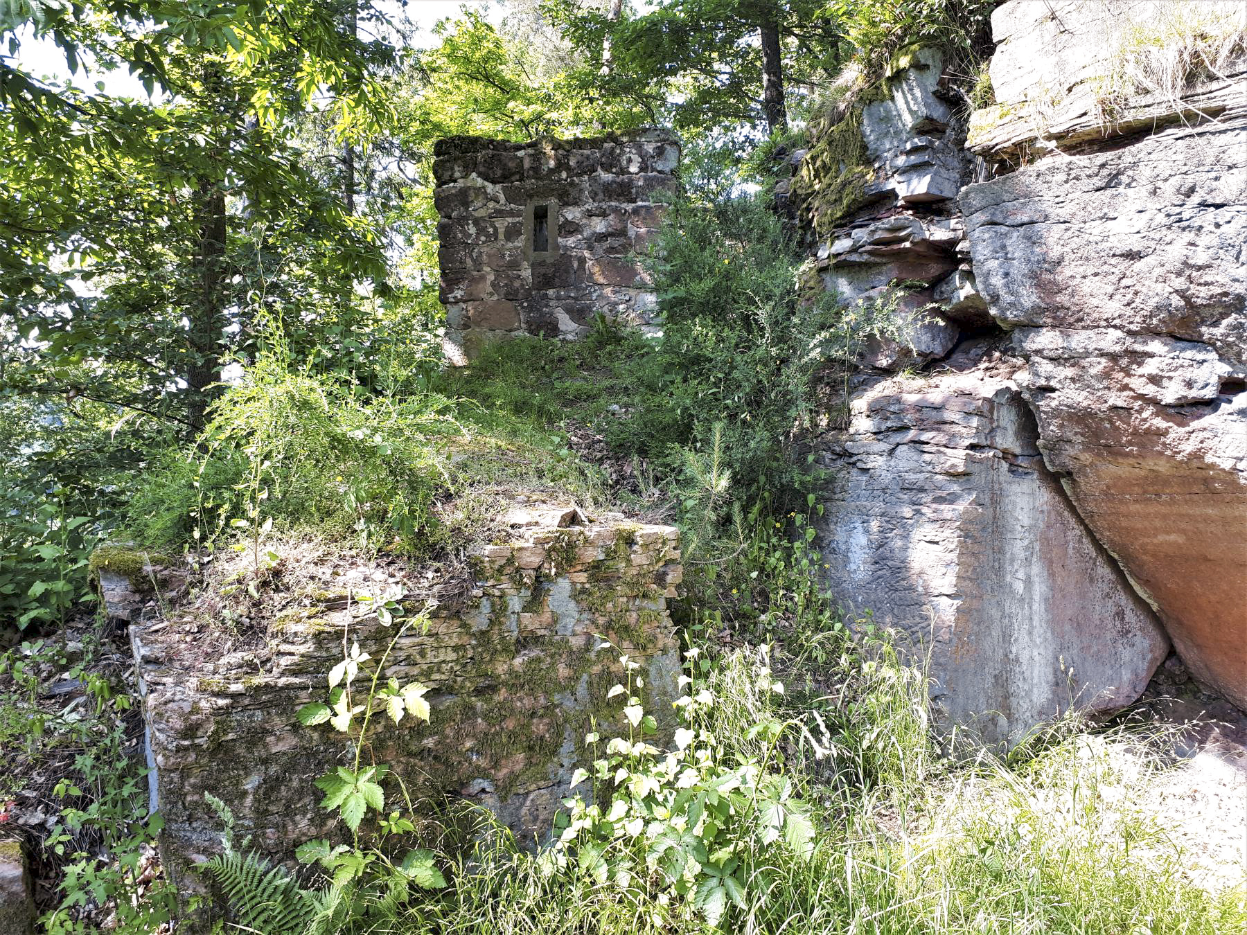 Ligne Maginot - CHATEAU NEUF 1 - (Blockhaus pour arme infanterie) - L'accès au blockhaus  - Gregory Fuchs