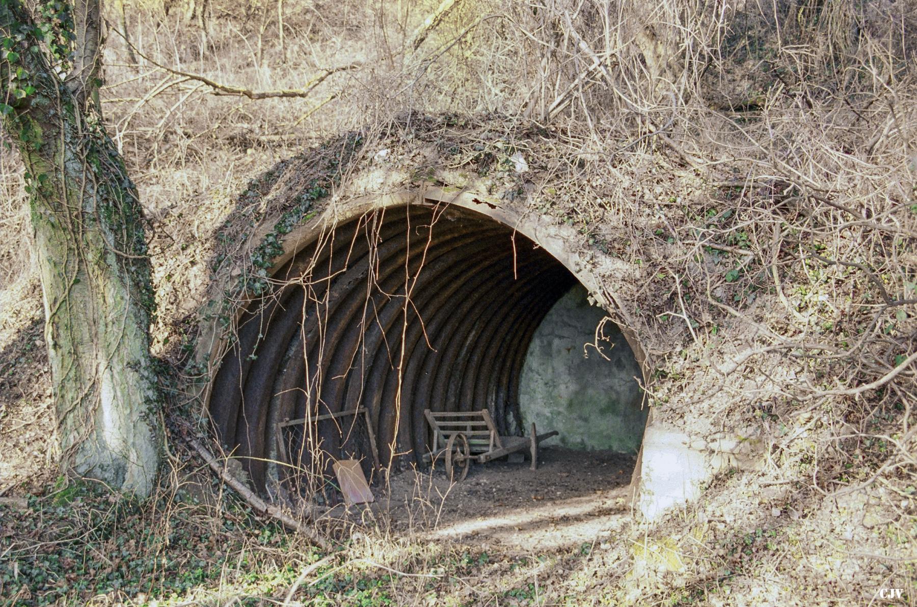 Ligne Maginot - COUCOU - A20 - (Ouvrage d'infanterie) - Niche - Lia VERMEULEN
