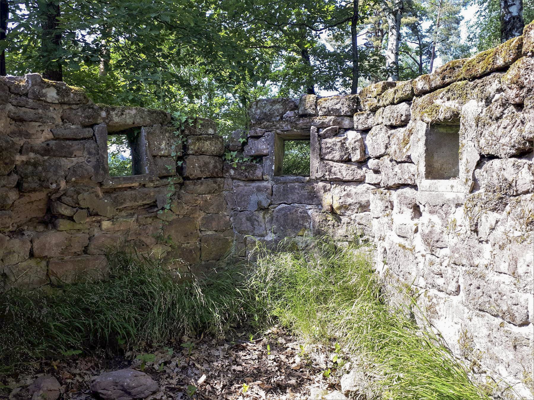 Ligne Maginot - CHATEAU NEUF 2 - (Blockhaus pour arme infanterie) - Les trois créneaux frontaux - Gregory Fuchs