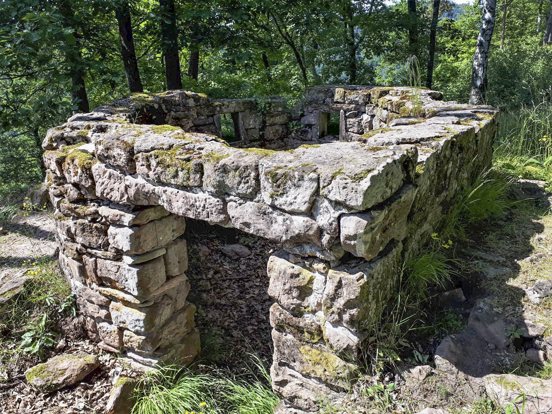 Ligne Maginot - CHATEAU NEUF 2 - (Blockhaus pour arme infanterie) - Entrée - Gregory Fuchs