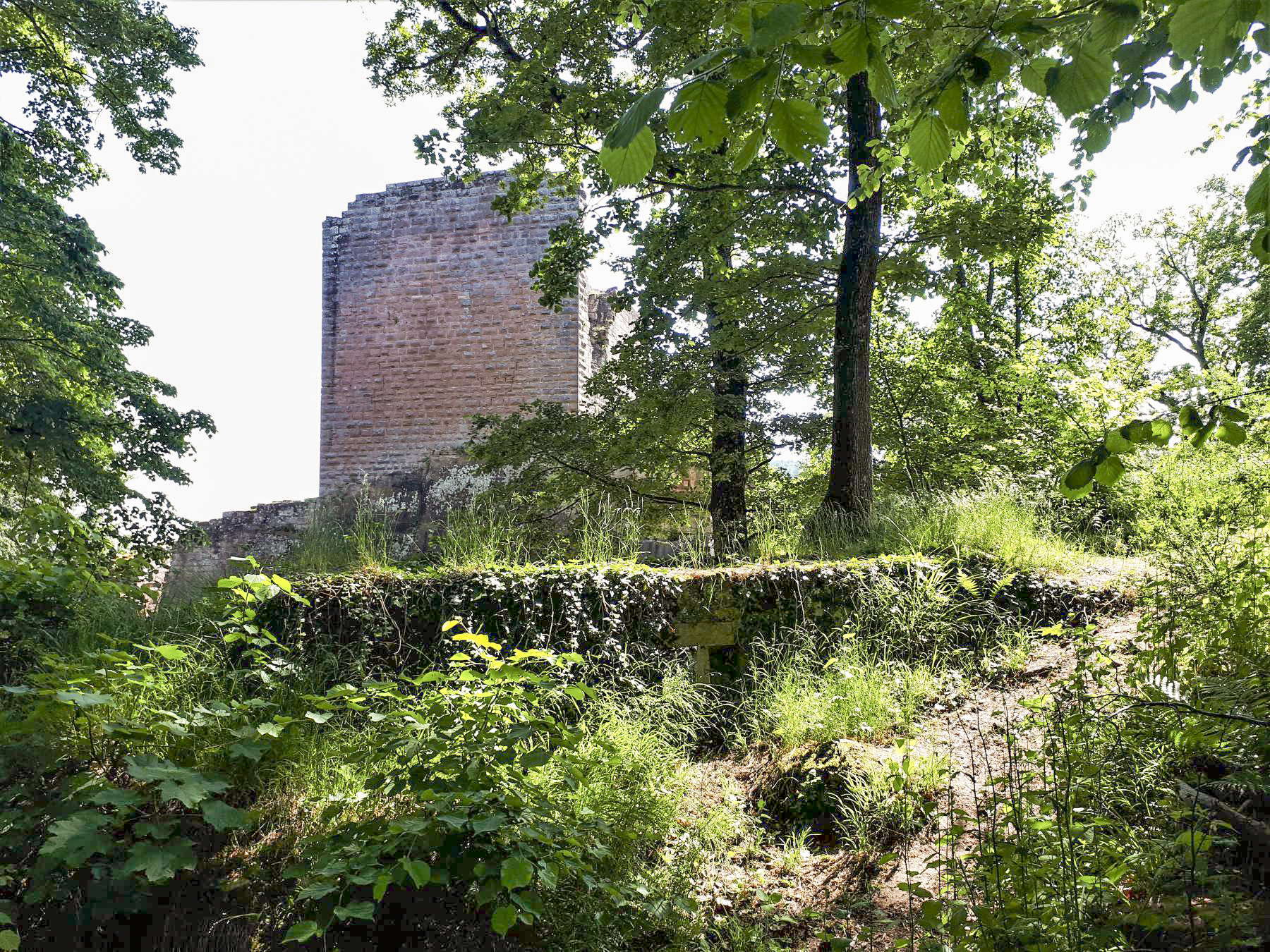 Ligne Maginot - CHATEAU NEUF 3 - (Blockhaus pour arme infanterie) -  - Gregory Fuchs