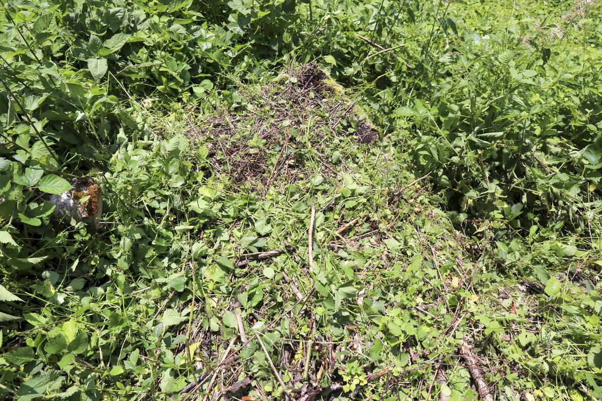 Ligne Maginot - SA-16 - LES PANISSATS 3 - (Blockhaus pour arme infanterie) - La dalle de l'entrée en puits - Alain Perouffe