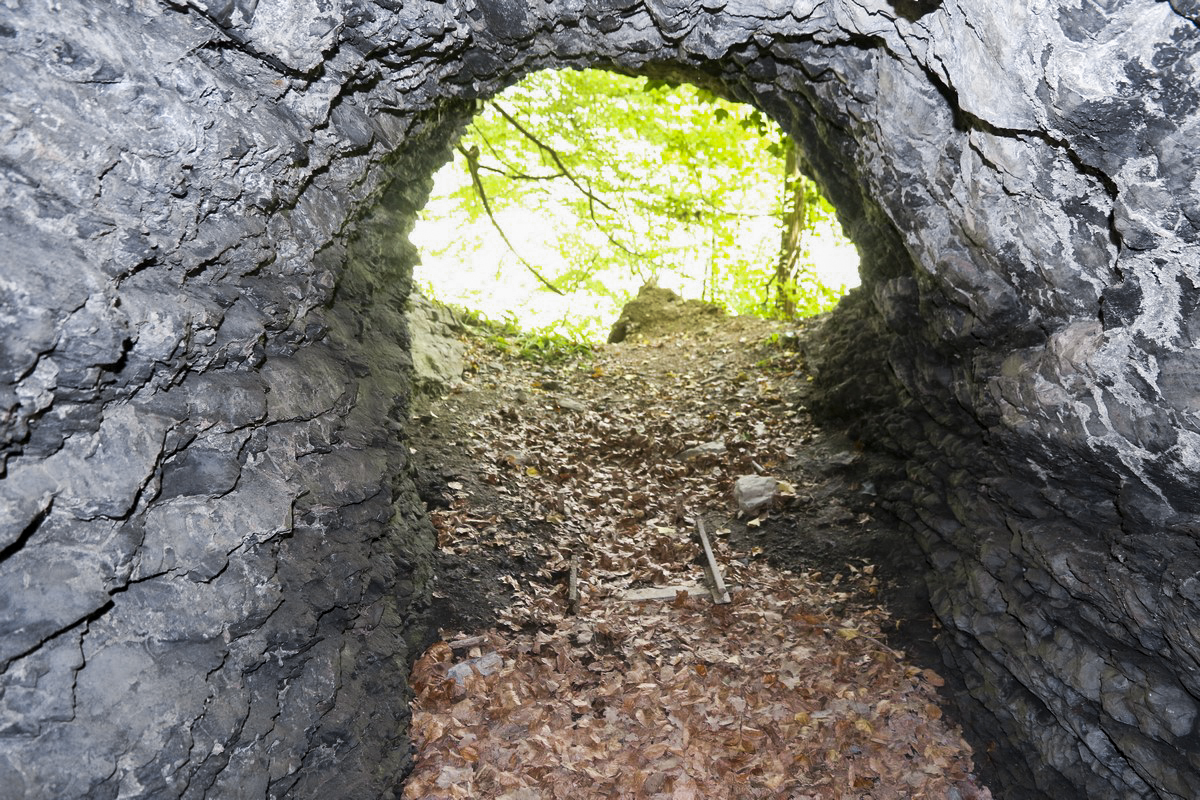 Ligne Maginot - O59 - SAXEL CENTRE - (Abri) -  - Alain Perouffe