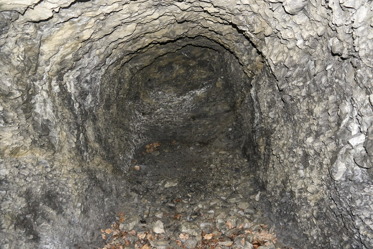 Ligne Maginot - O59 - SAXEL CENTRE - (Abri) - Local annexe sud - Alain Perouffe