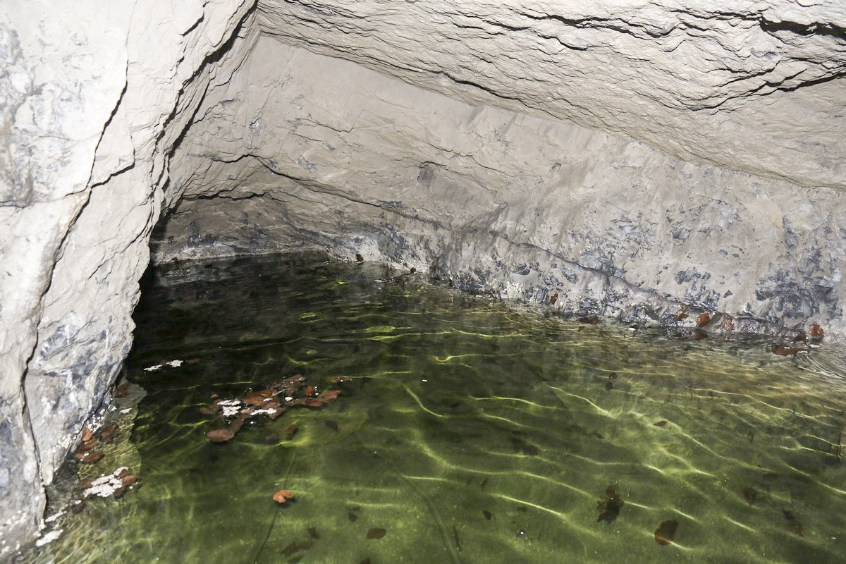 Ligne Maginot - O52-53-53BIS - OËX - (Ouvrage d'infanterie) - Fin de l'ouvrage. Bloc non achevé ou chambre de repos ? - Alain Perouffe