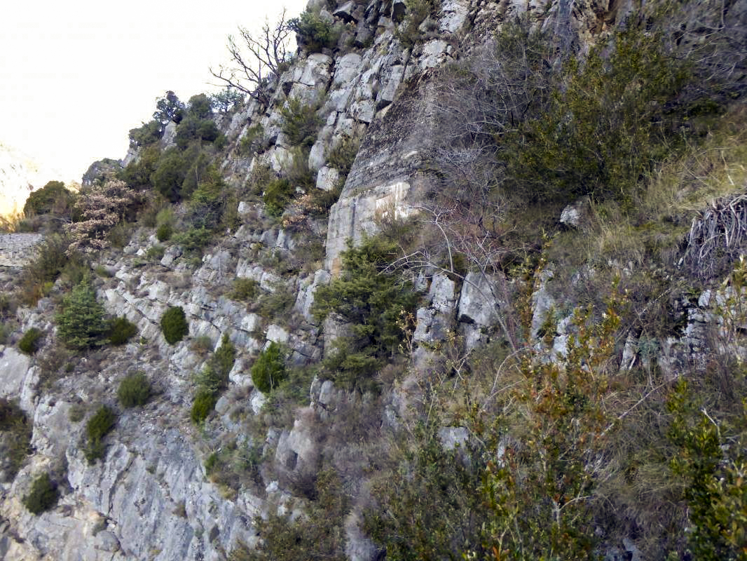 Ligne Maginot - RIMPLAS (RS) - (Ouvrage d'artillerie) - Bloc 6
Façade inaccessible du Bloc optique