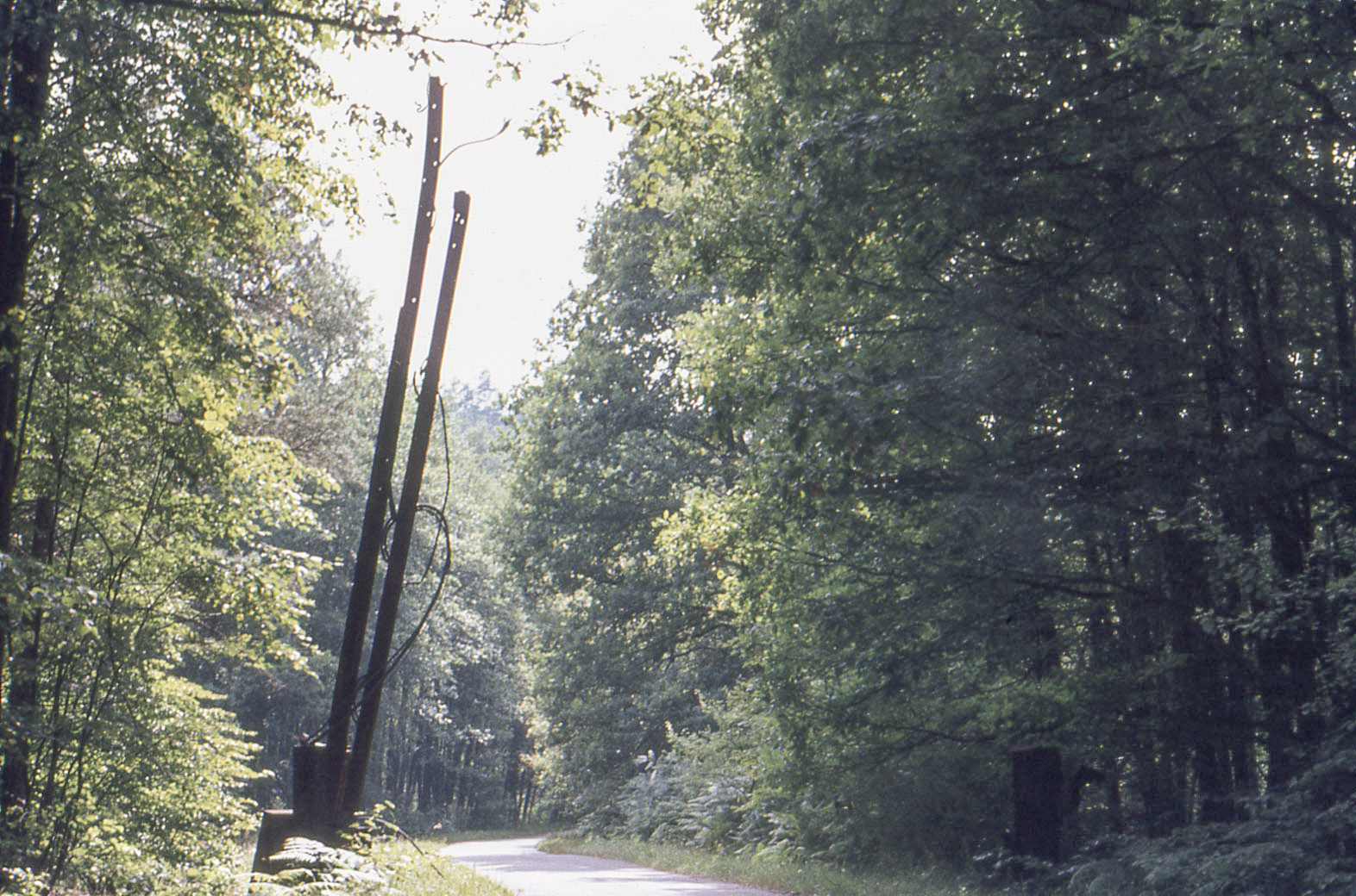 Ligne Maginot - 227 - (Barrage de Route) -  - MANSUY Michel
