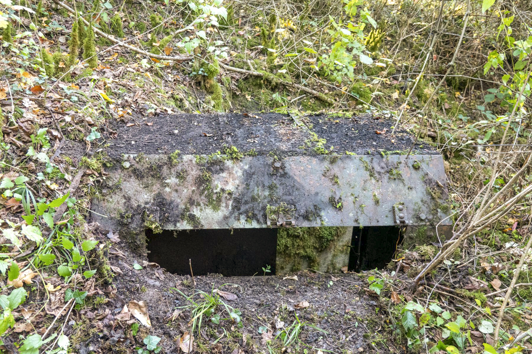 Ligne Maginot - CB3-A - (Observatoire d'artillerie) -  - Michel Teiten