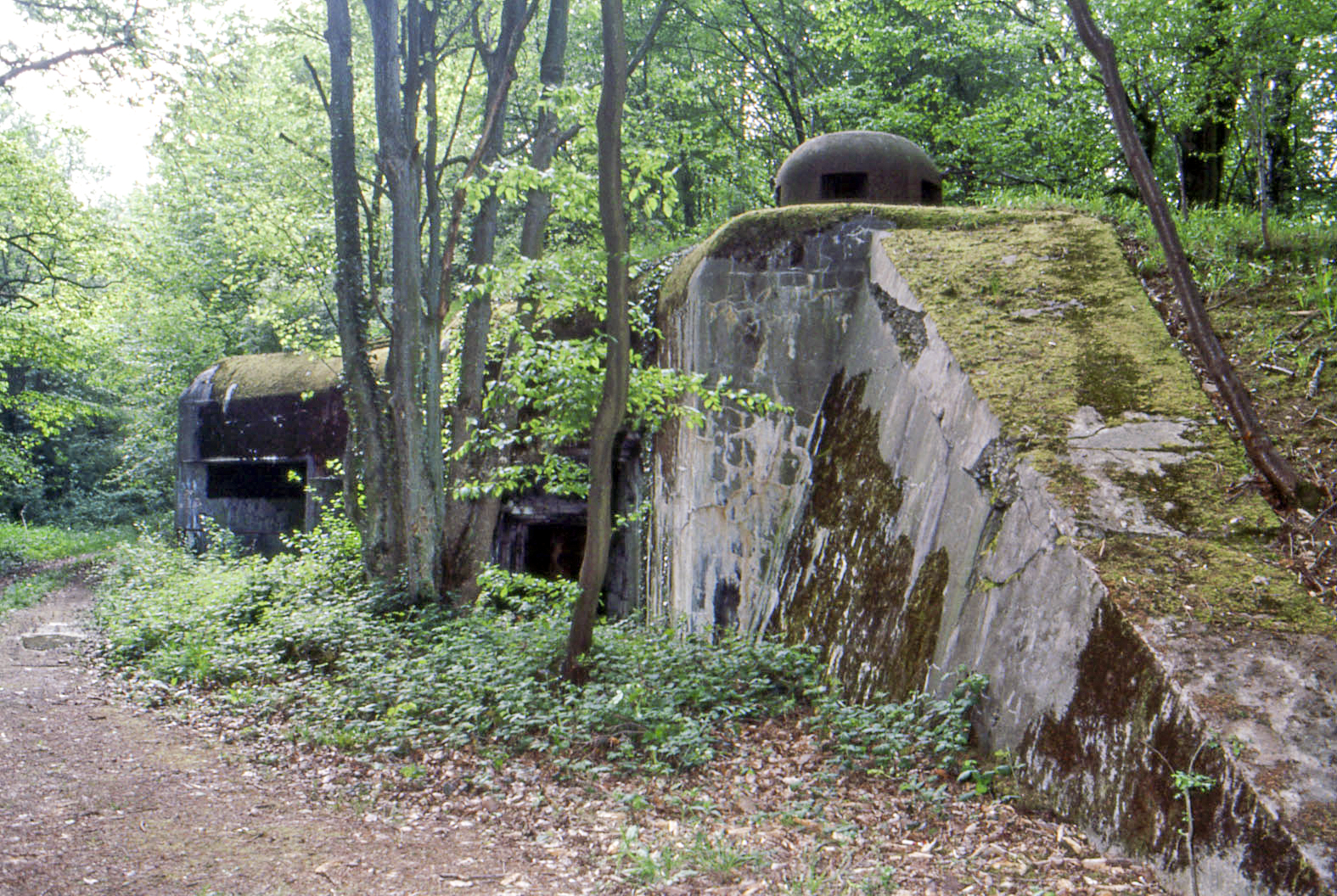 Ligne Maginot - BOIS D'OTTONVILLE - BCA1 - (Casemate d'artillerie) - Vue d'ensemble de la casemate d'artillerie d'Ottonville - MANSUY Michel