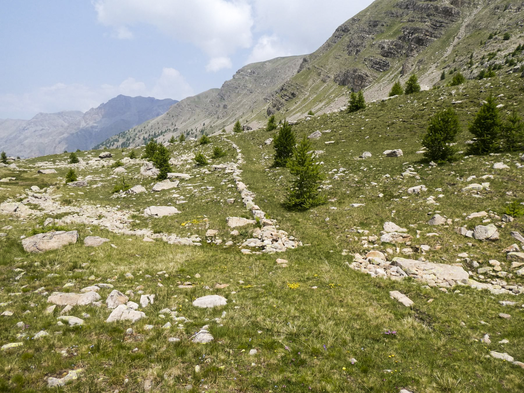 Ligne Maginot - VALLON DE SANGUINIERE - (Cuve pour arme d'infanterie) - L'accès par la piste militaire.  - ELLENA Daniel - CUNY Philippe