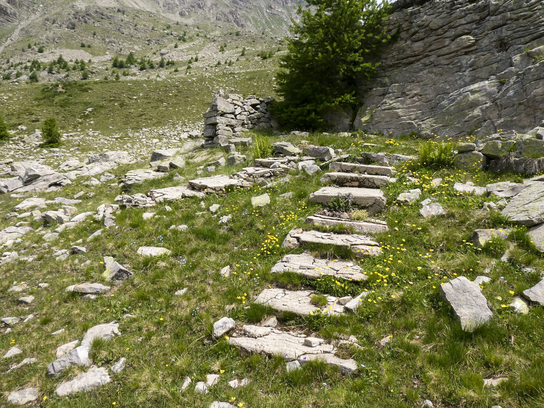 Ligne Maginot - VALLON DE SANGUINIERE - (Cuve pour arme d'infanterie) - Escaliers cimentés en V menant à une plateforme et restes d'une construction. - ELLENA Daniel - CUNY Philippe