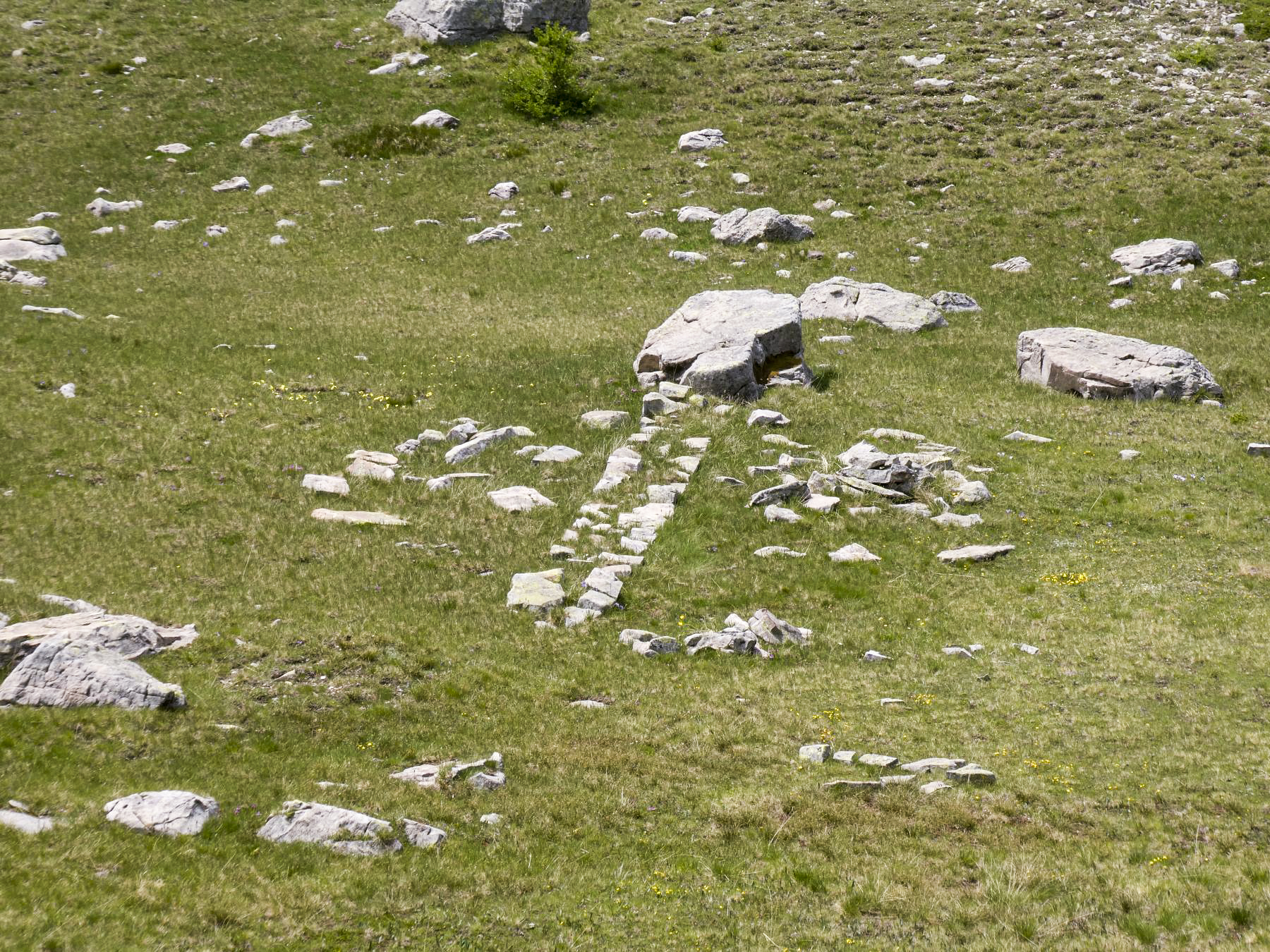 Ligne Maginot - VALLON DE SANGUINIERE - (Cuve pour arme d'infanterie) - Peut-être les restes d'un géoglyphe - ELLENA Daniel - CUNY Philippe