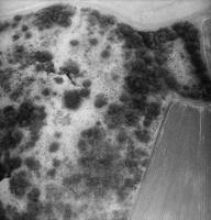 Ligne Maginot - ESCHERANGE OUEST - C37 - (Casemate d'infanterie - Simple) - Photo aérienne de la casemate en 1997